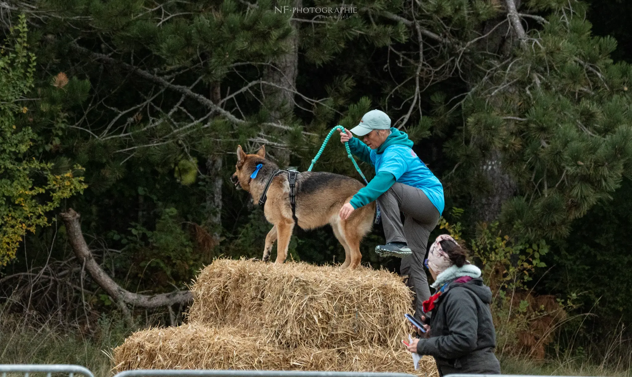 Cani-Parcours - Édition 2024 - Canifun