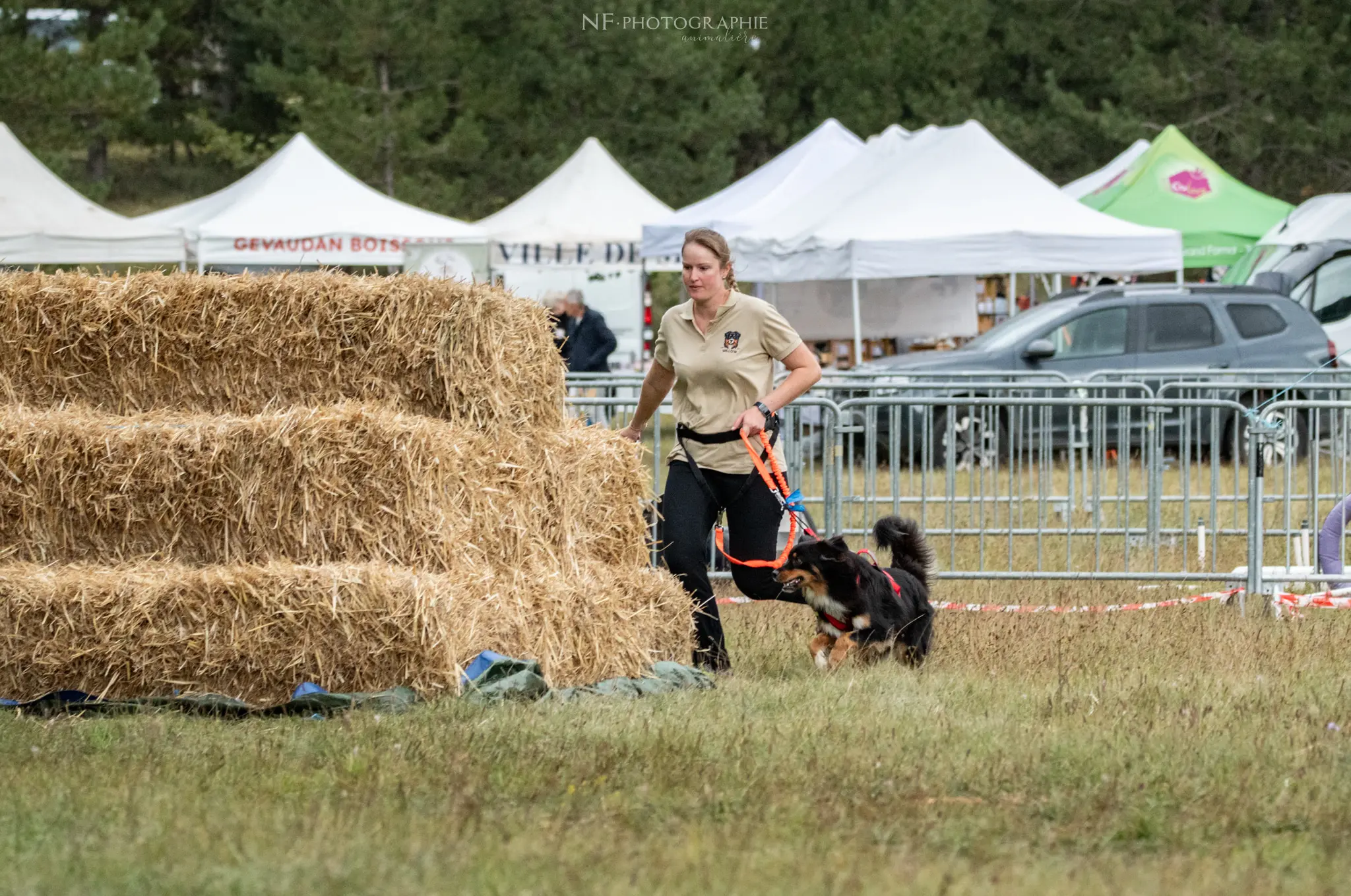 Cani-Parcours - Édition 2024 - Canifun