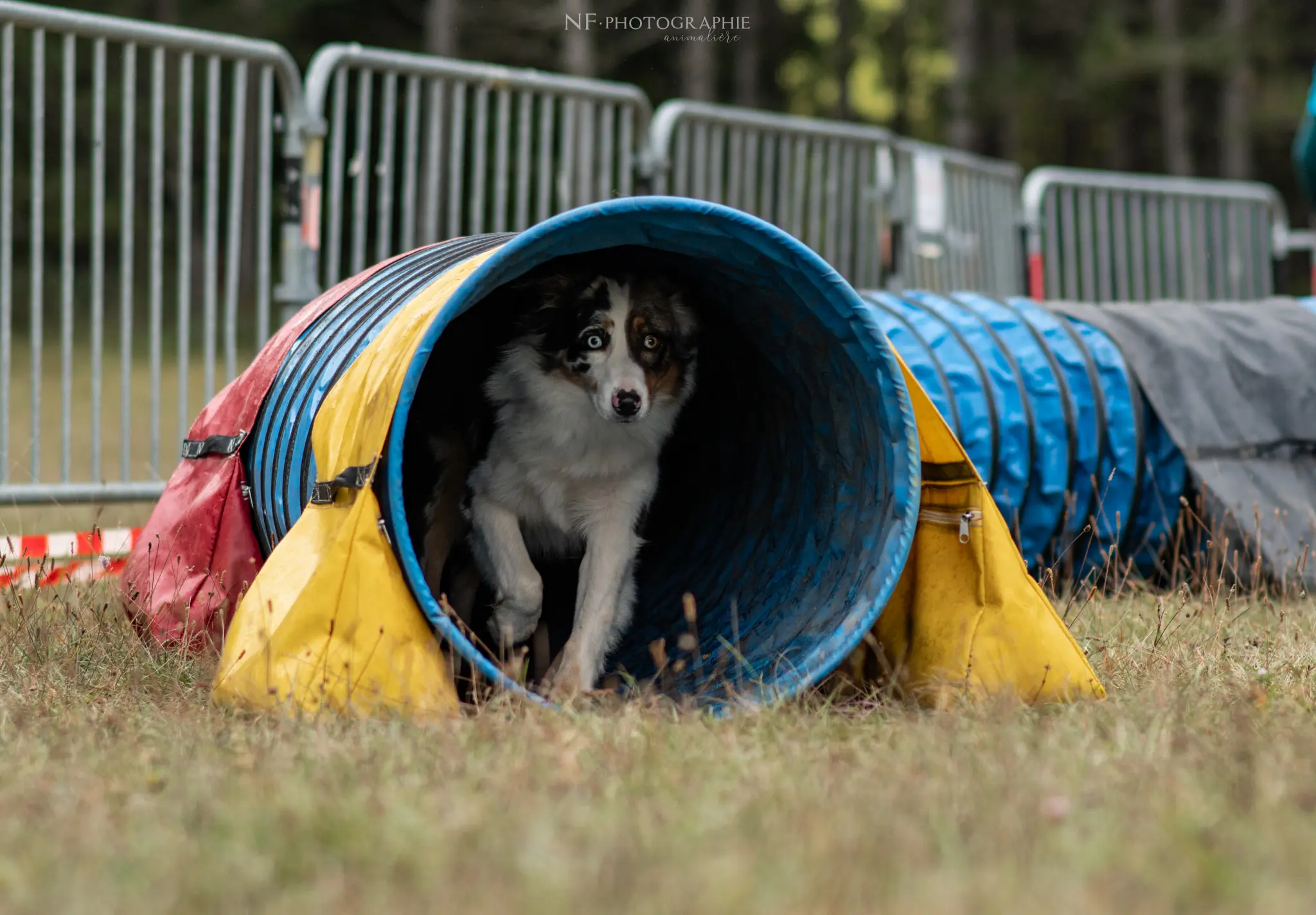 Tunnel-Cup - Édition 2024 - Canifun