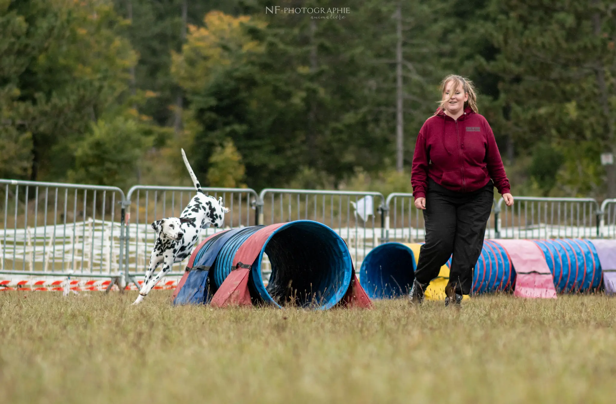 Tunnel-Cup - Édition 2024 - Canifun