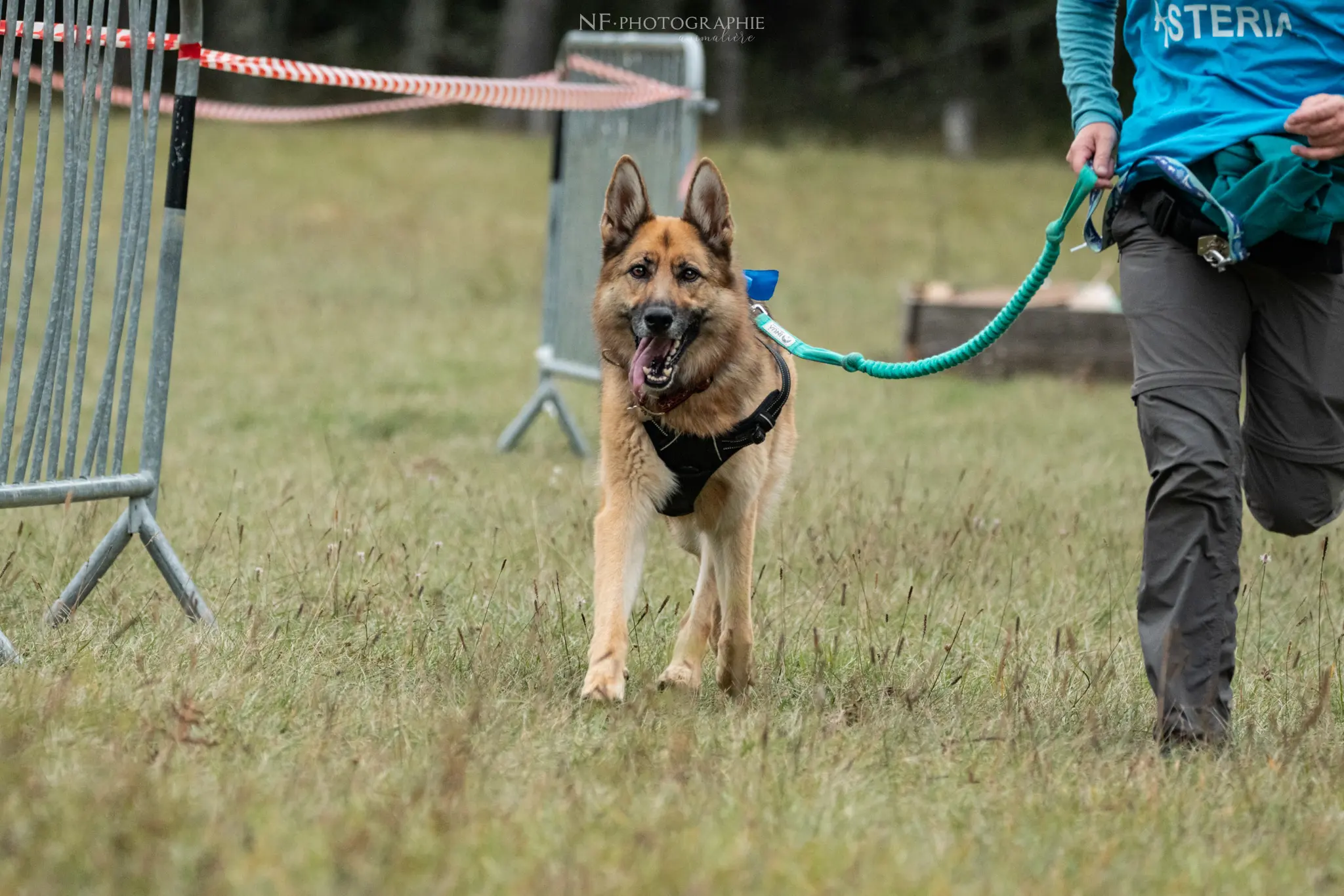 Cani-Parcours - Édition 2024 - Canifun