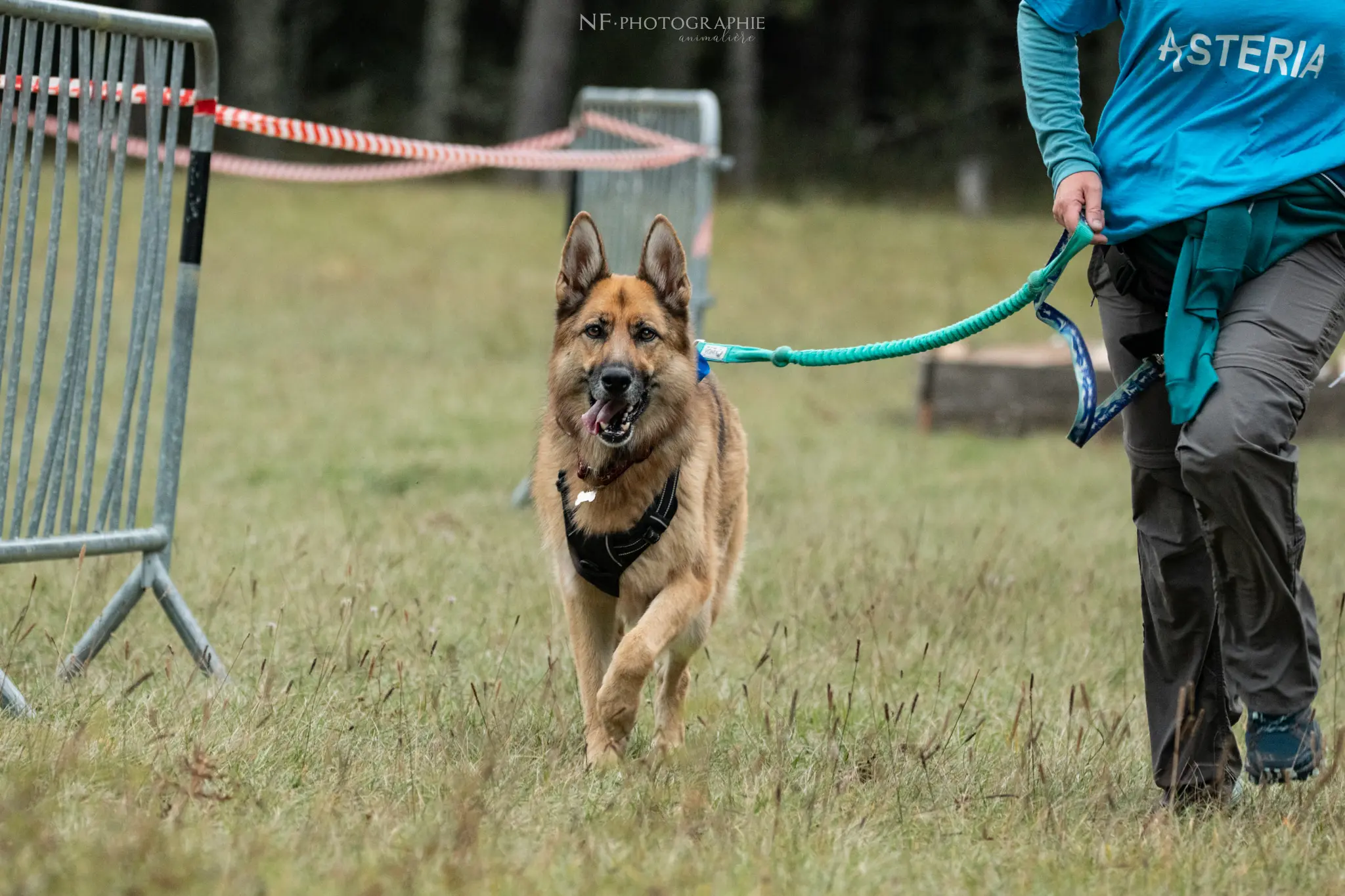 Cani-Parcours - Édition 2024 - Canifun