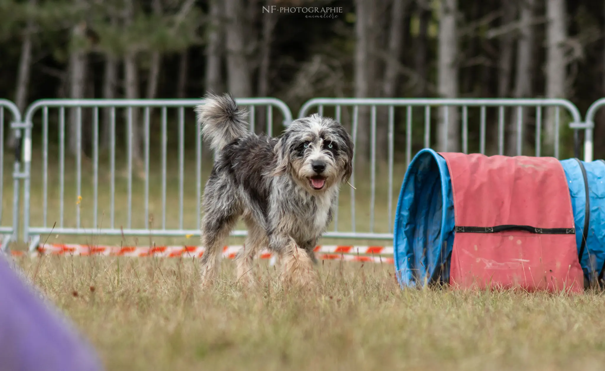 Tunnel-Cup - Édition 2024 - Canifun