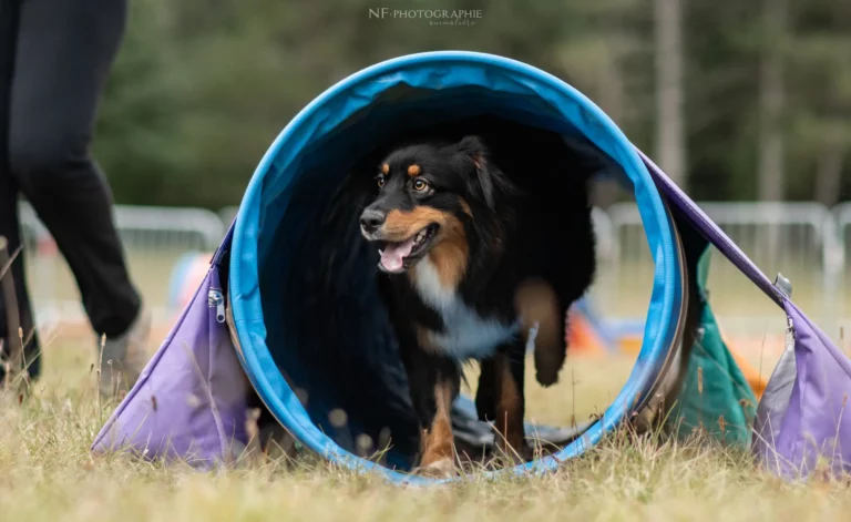 Tunnel-Cup - Édition 2024 - Canifun