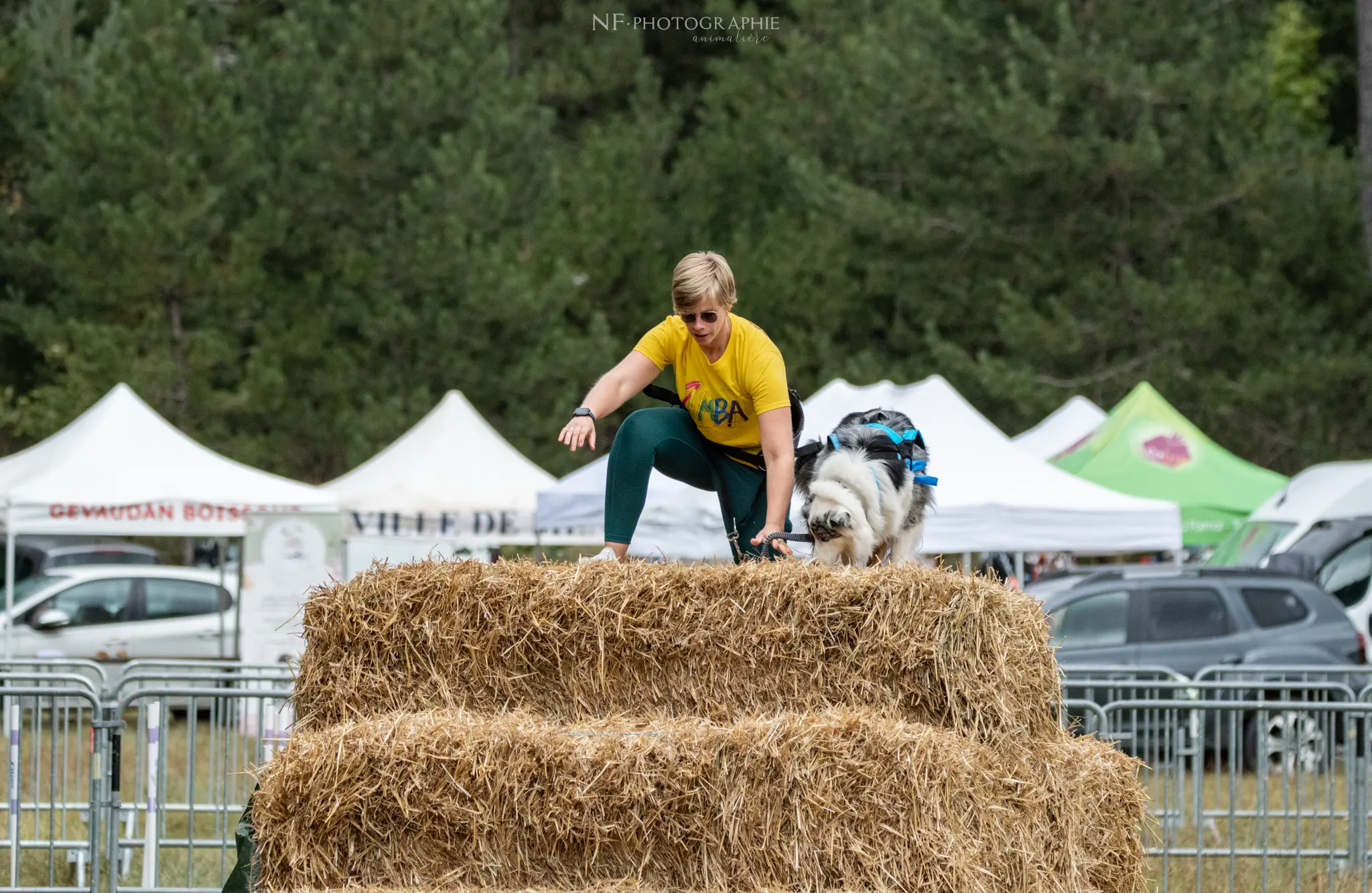 Cani-Parcours - Édition 2024 - Canifun