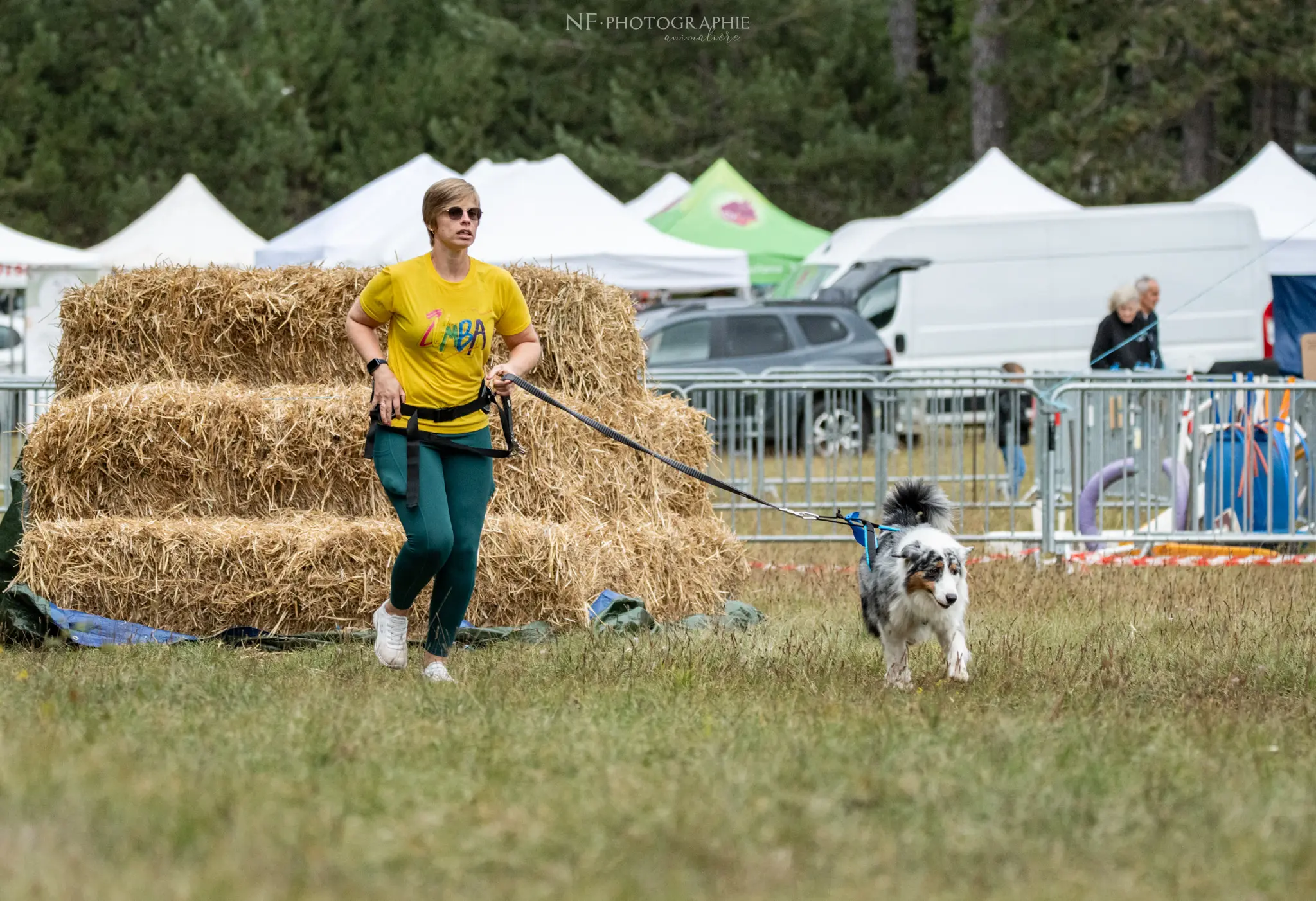 Cani-Parcours - Édition 2024 - Canifun