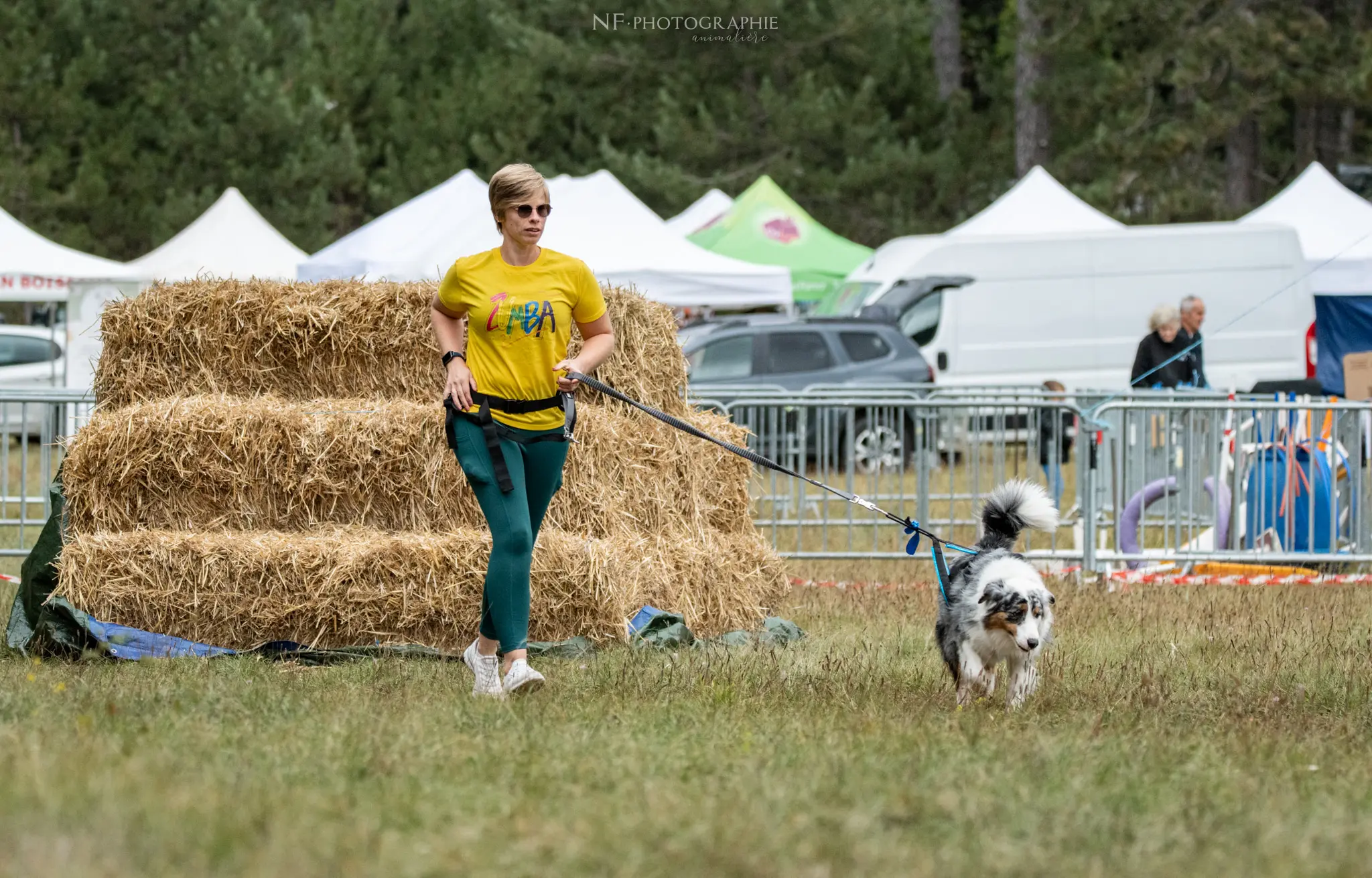 Cani-Parcours - Édition 2024 - Canifun