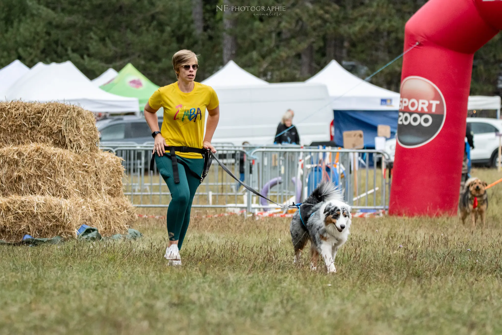 Cani-Parcours - Édition 2024 - Canifun