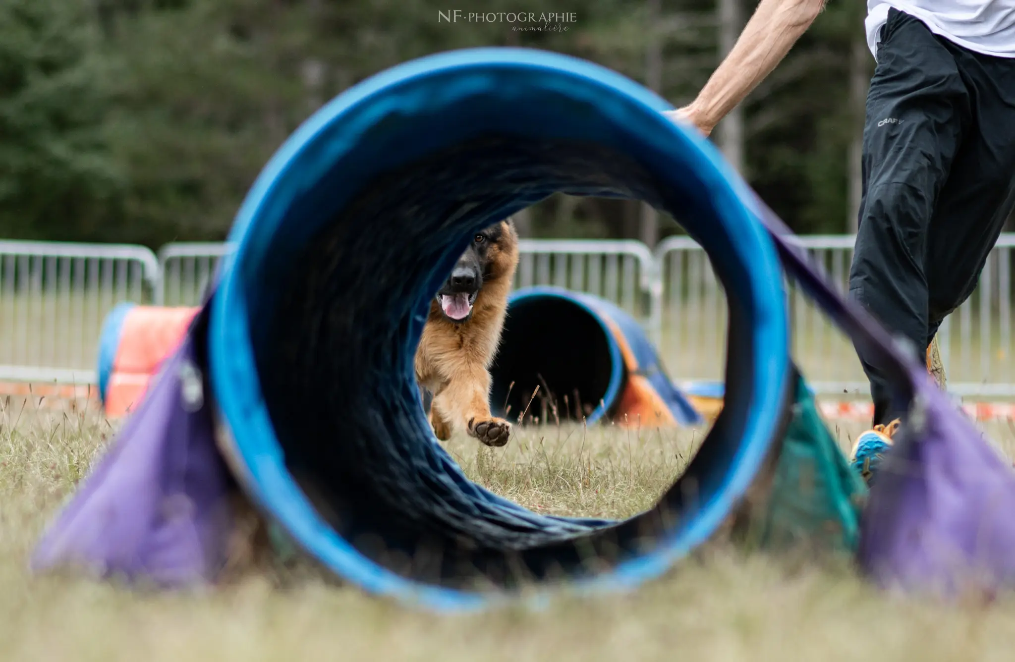 Tunnel-Cup - Édition 2024 - Canifun