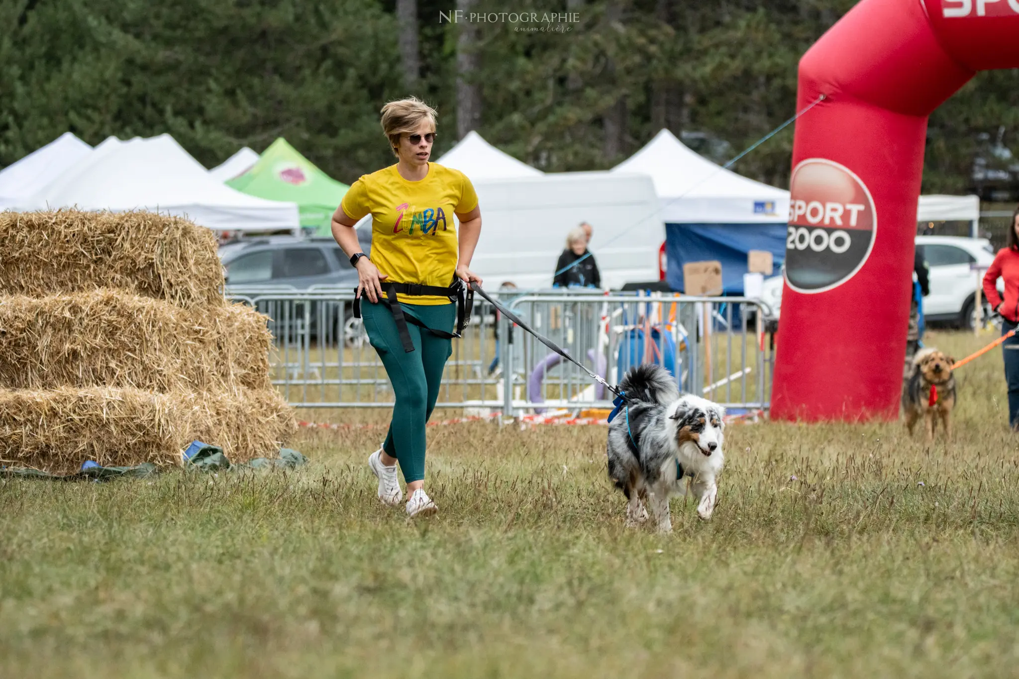 Cani-Parcours - Édition 2024 - Canifun