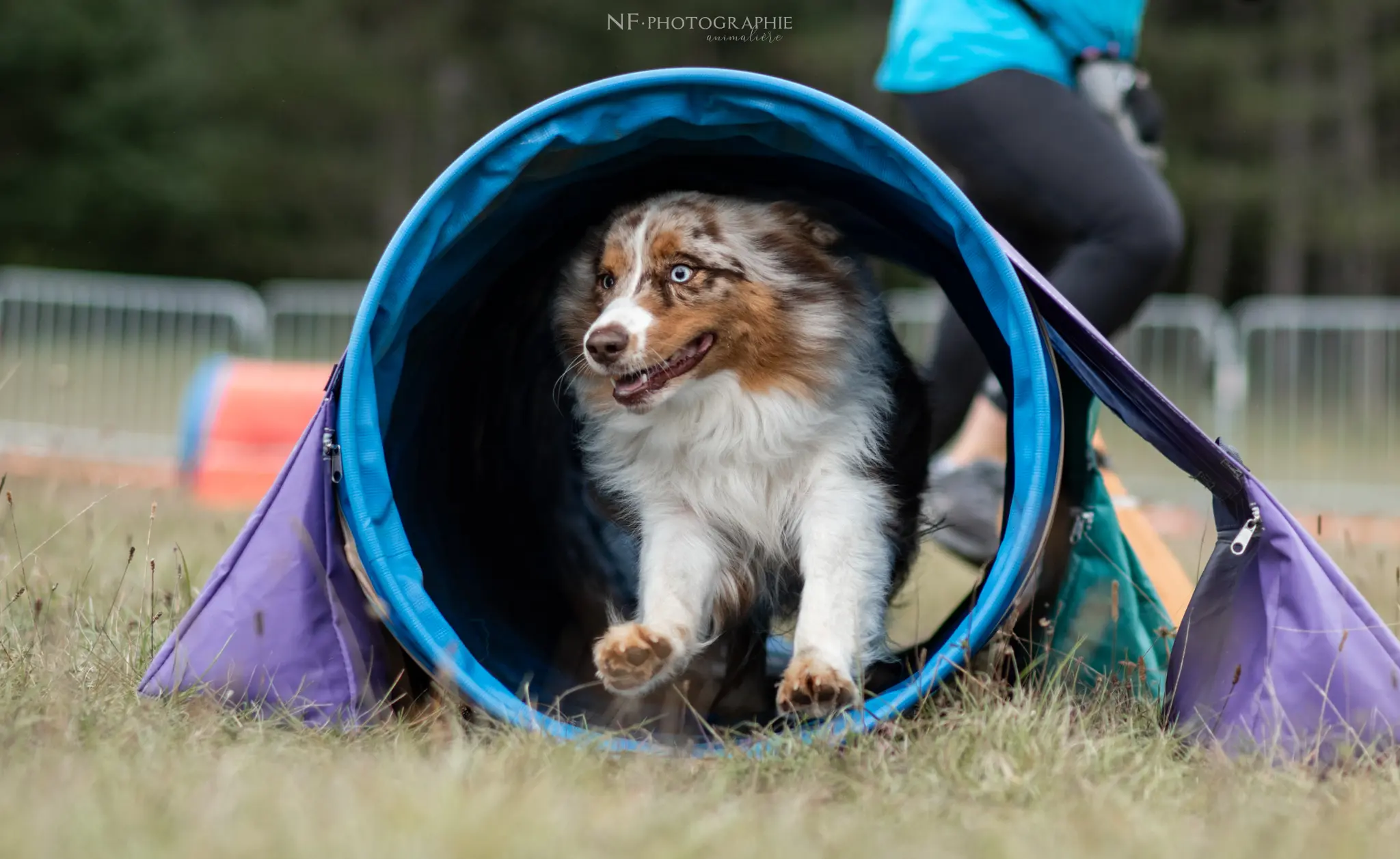 Tunnel-Cup - Édition 2024 - Canifun