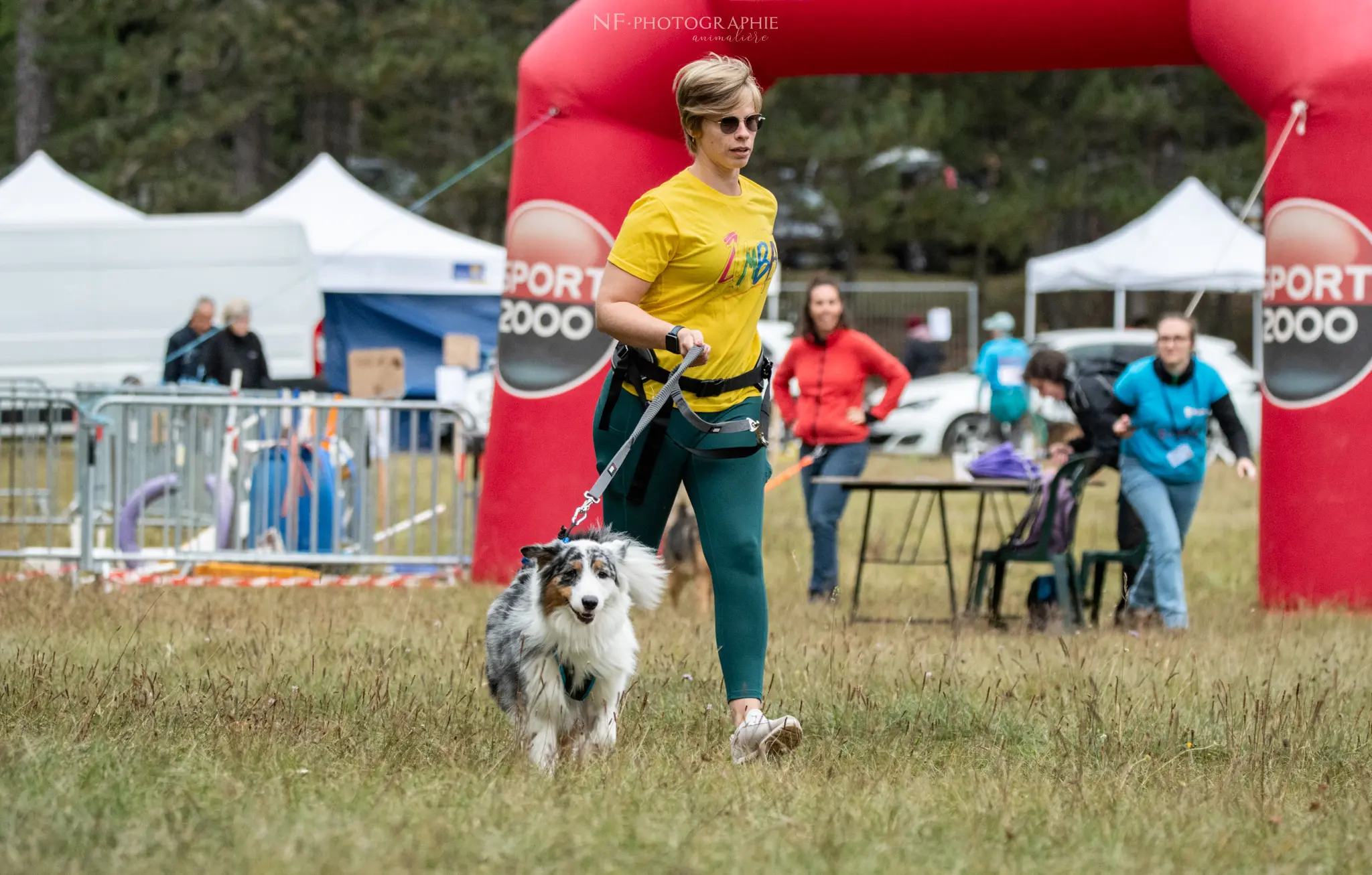 Cani-Parcours - Édition 2024 - Canifun