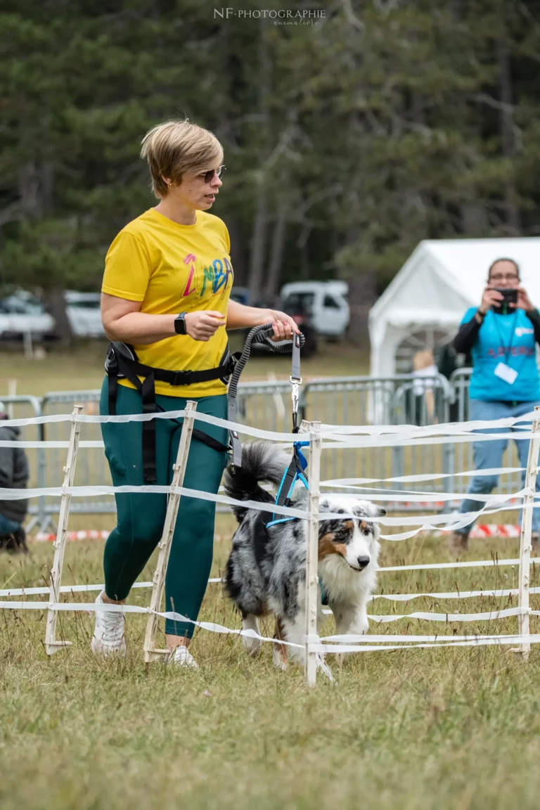 Cani-Parcours - Édition 2024 - Canifun