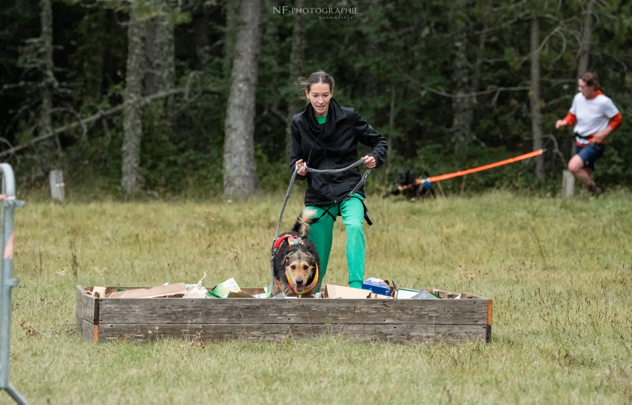 Cani-Parcours - Édition 2024 - Canifun