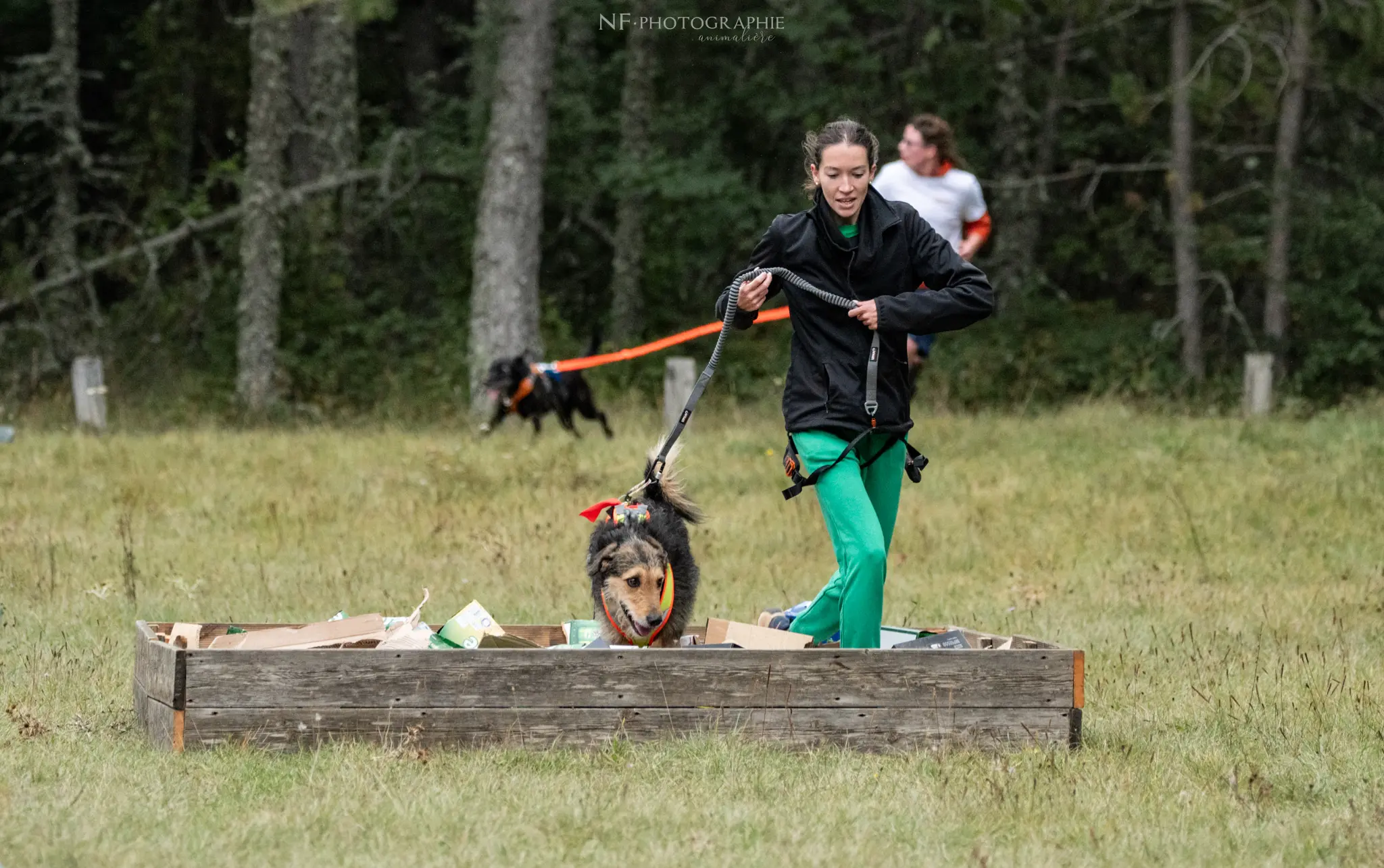 Cani-Parcours - Édition 2024 - Canifun