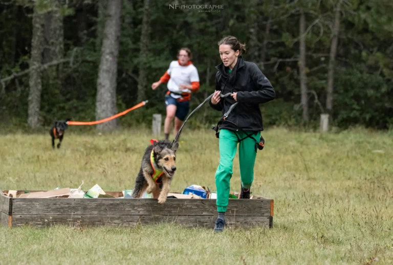 Cani-Parcours - Édition 2024 - Canifun