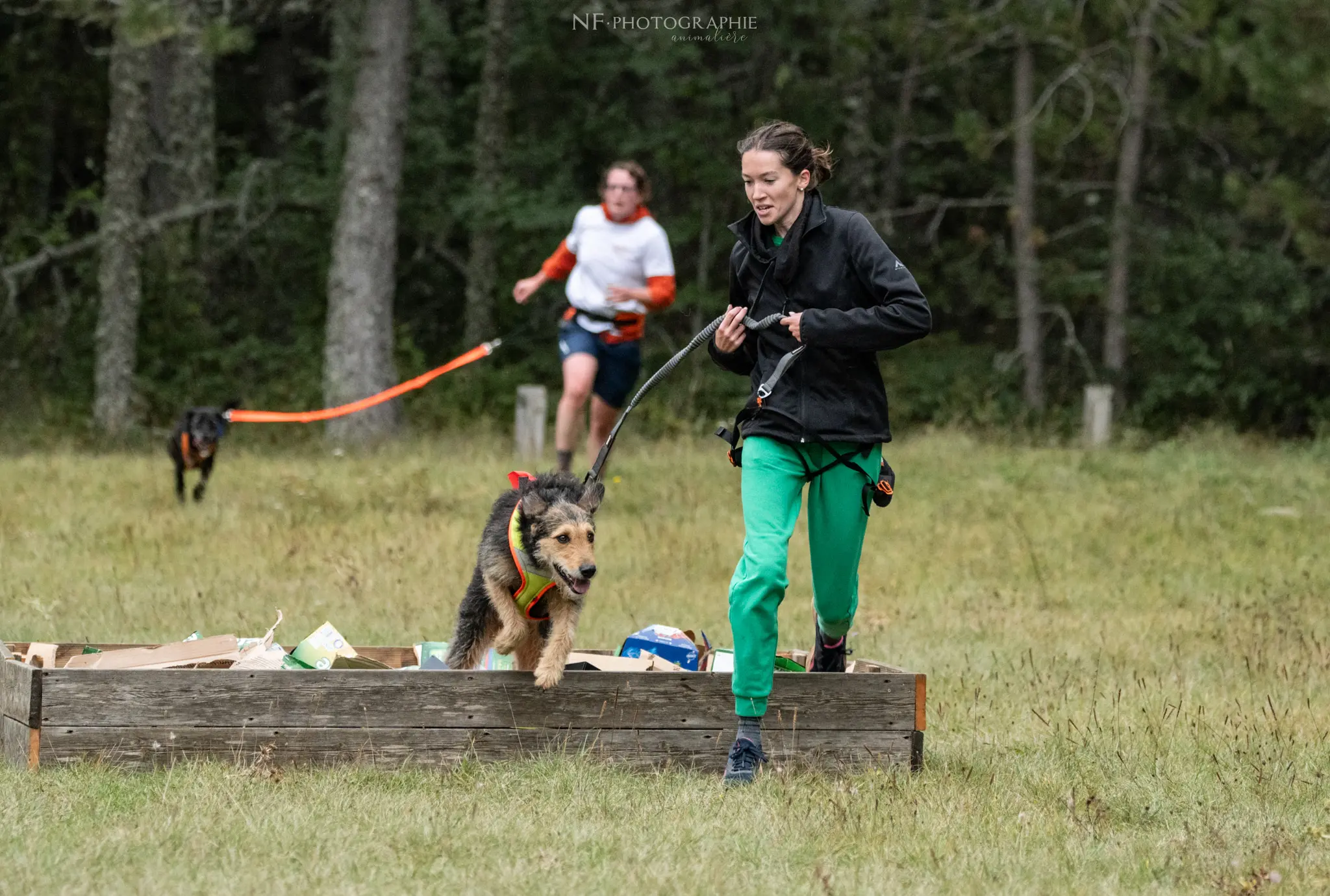 Cani-Parcours - Édition 2024 - Canifun