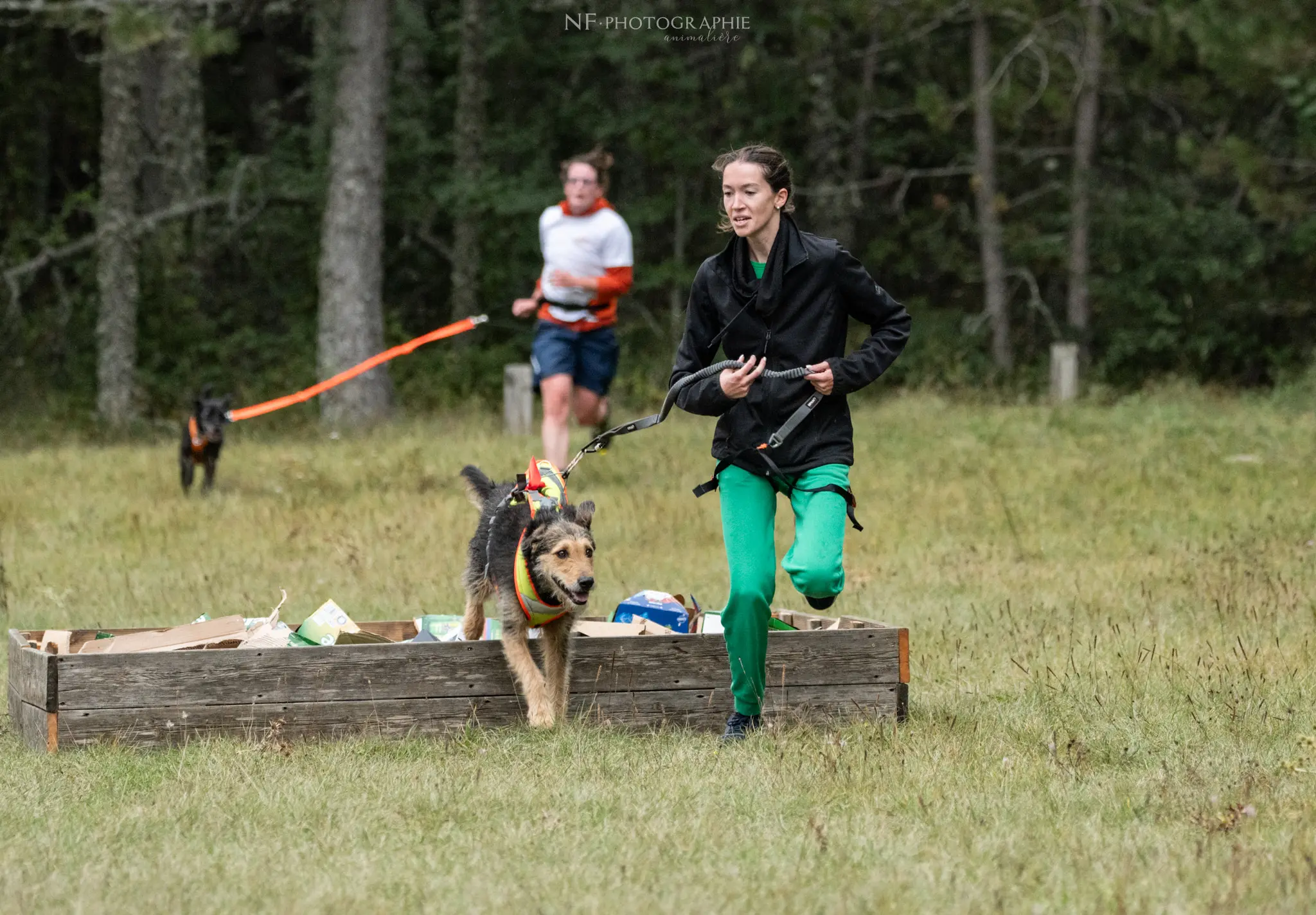 Cani-Parcours - Édition 2024 - Canifun