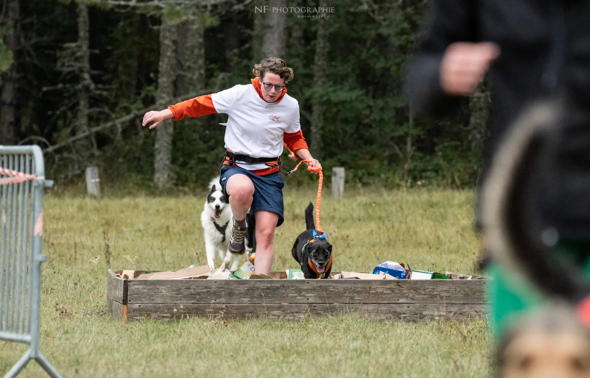 Cani-Parcours - Édition 2024 - Canifun