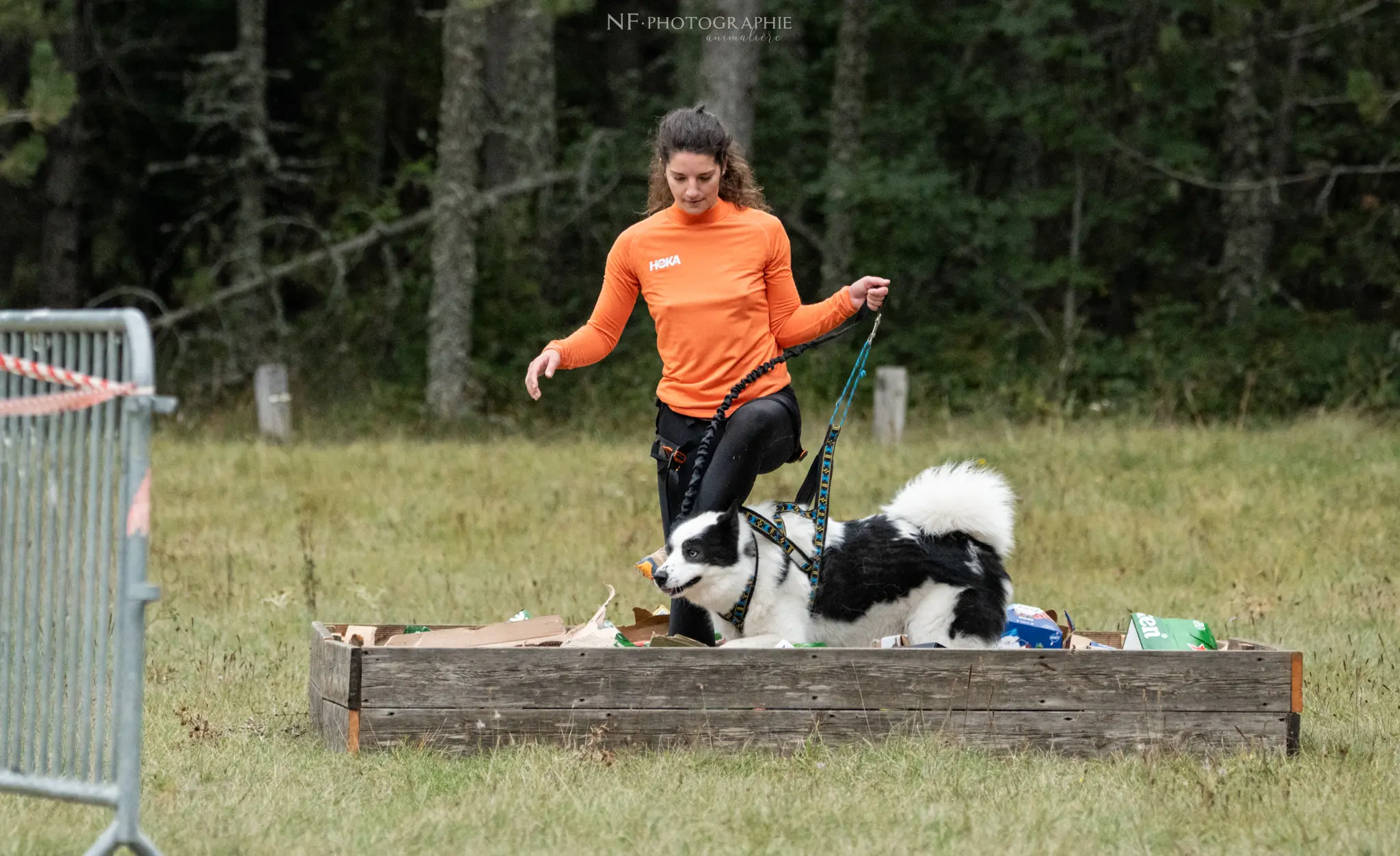 Cani-Parcours - Édition 2024 - Canifun