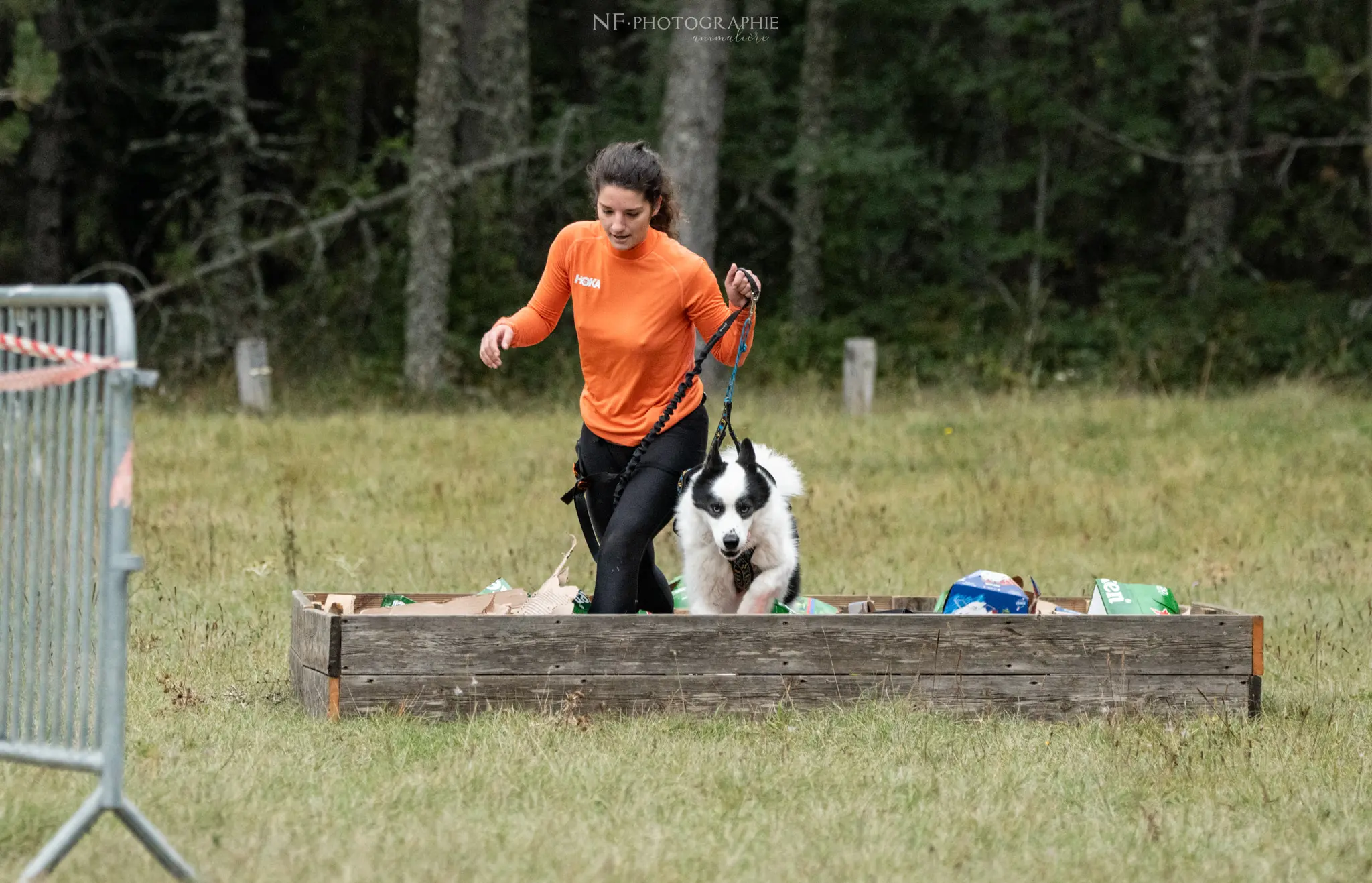 Cani-Parcours - Édition 2024 - Canifun