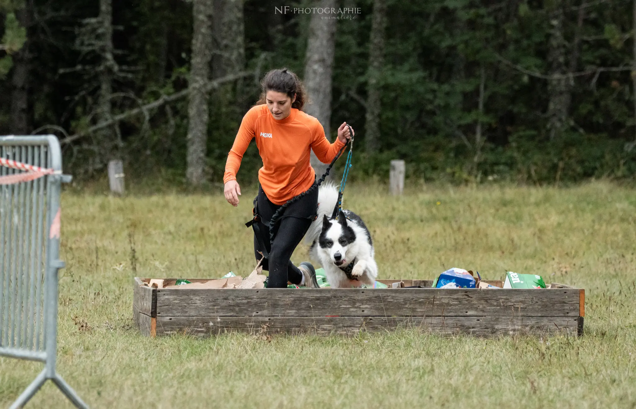 Cani-Parcours - Édition 2024 - Canifun