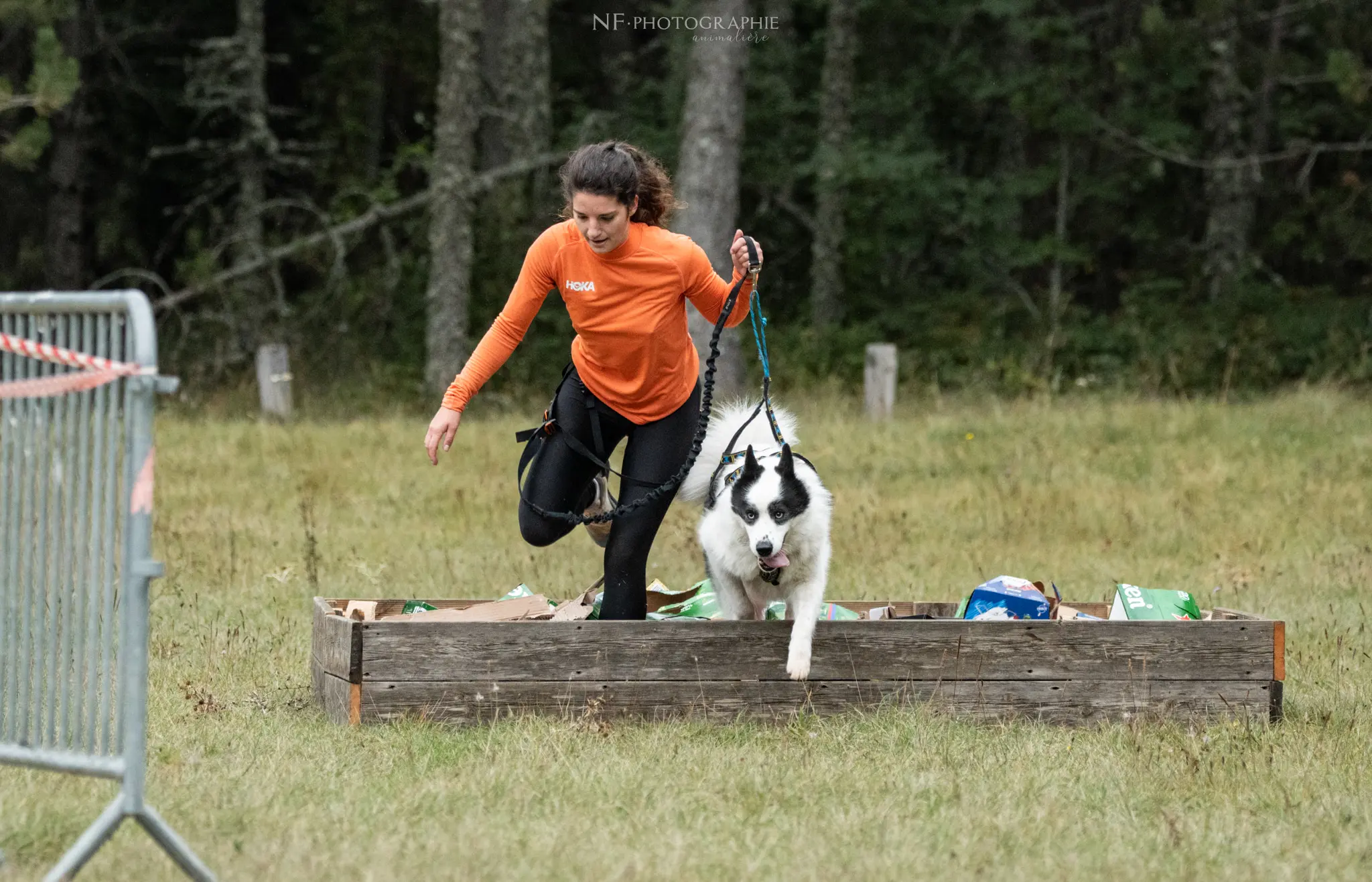 Cani-Parcours - Édition 2024 - Canifun