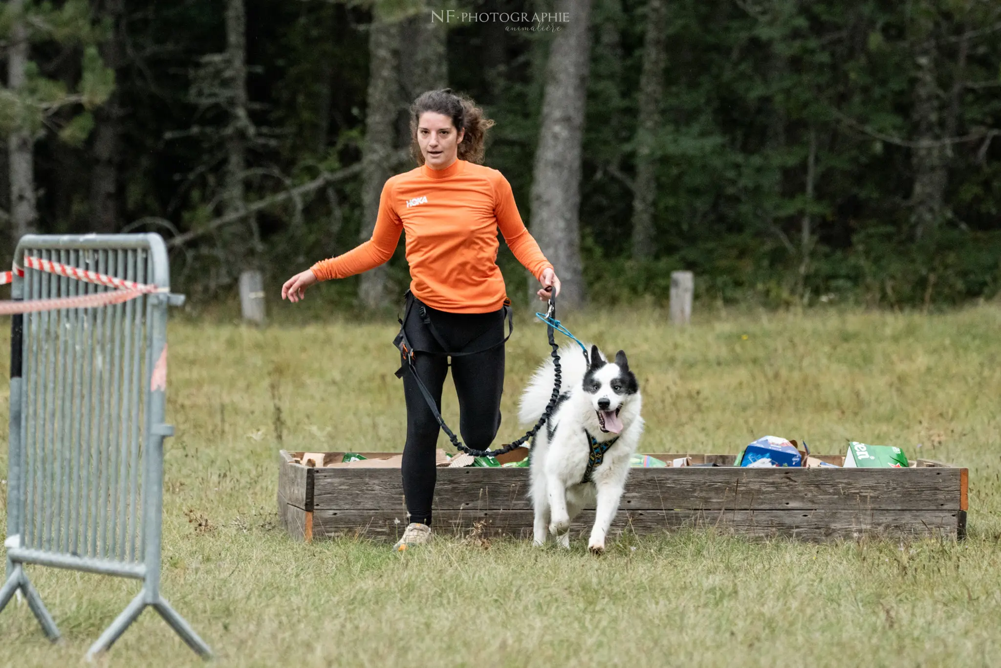 Cani-Parcours - Édition 2024 - Canifun