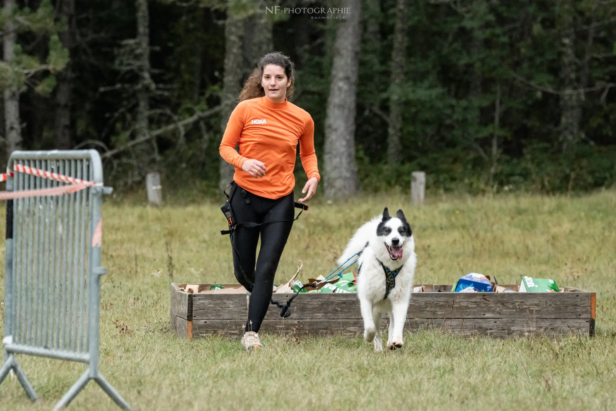 Cani-Parcours - Édition 2024 - Canifun