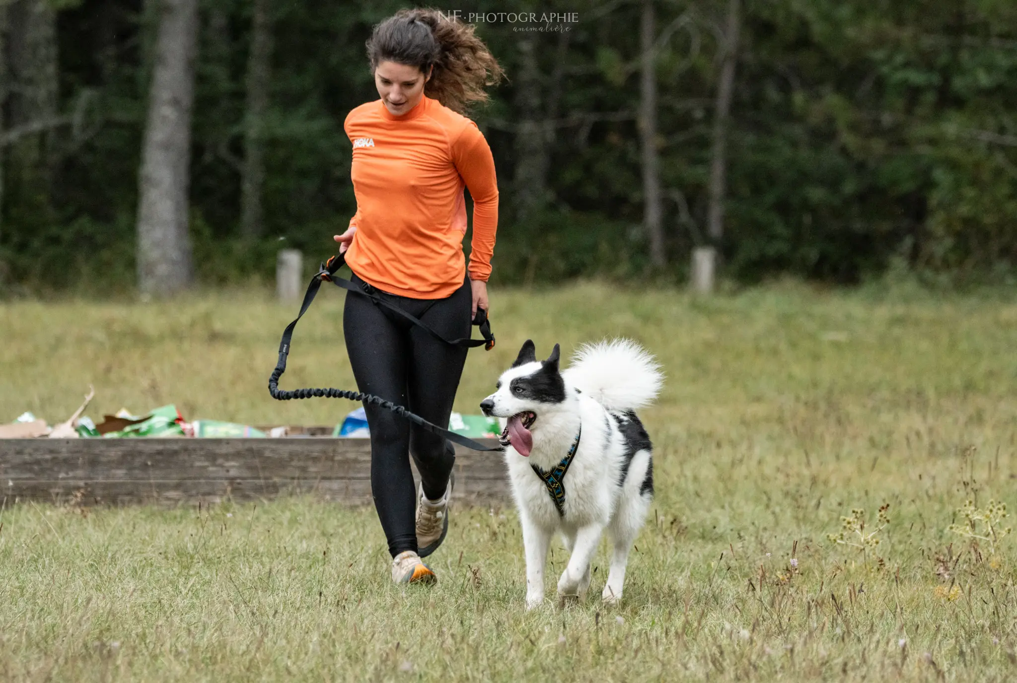 Cani-Parcours - Édition 2024 - Canifun