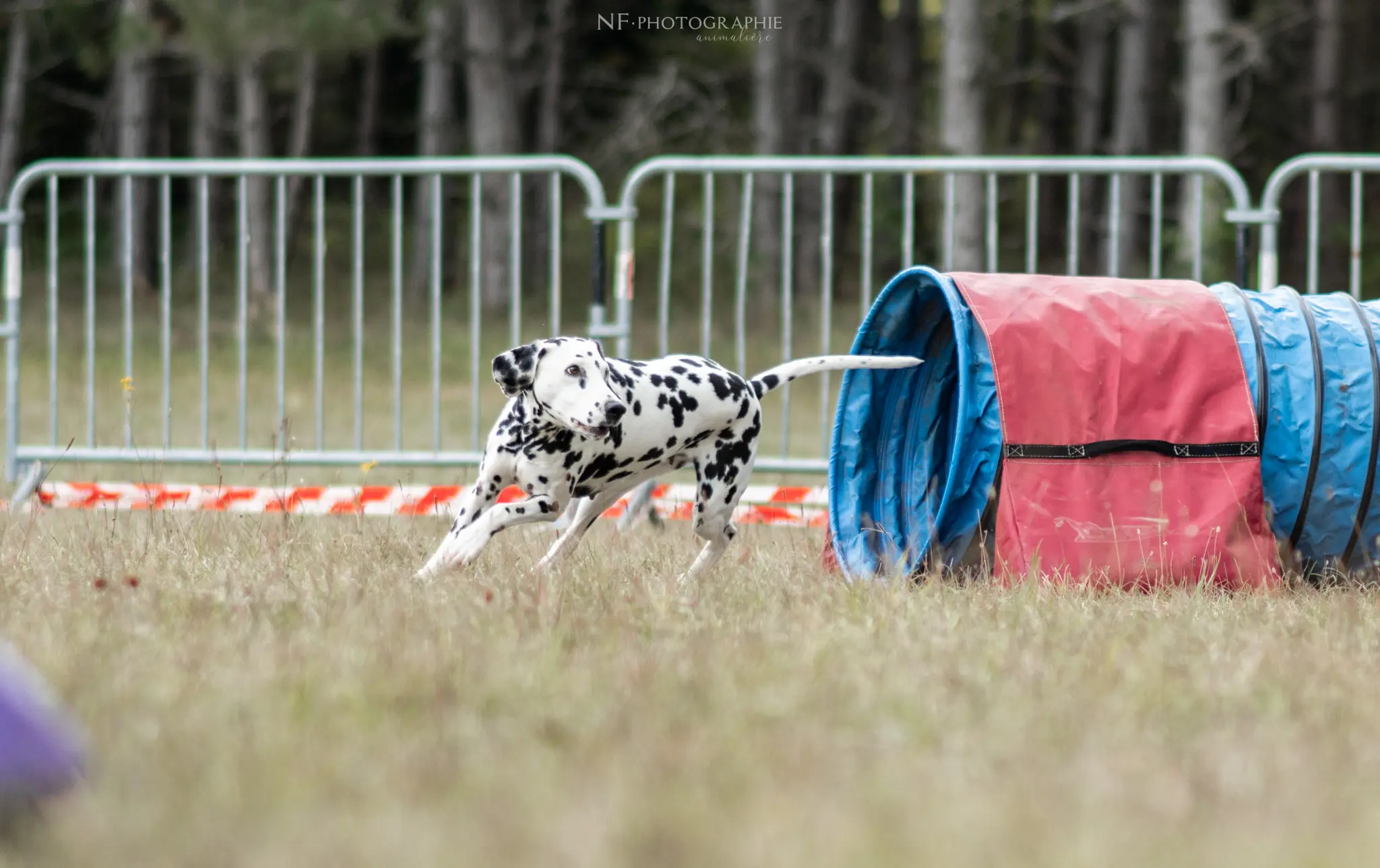 Tunnel-Cup - Édition 2024 - Canifun