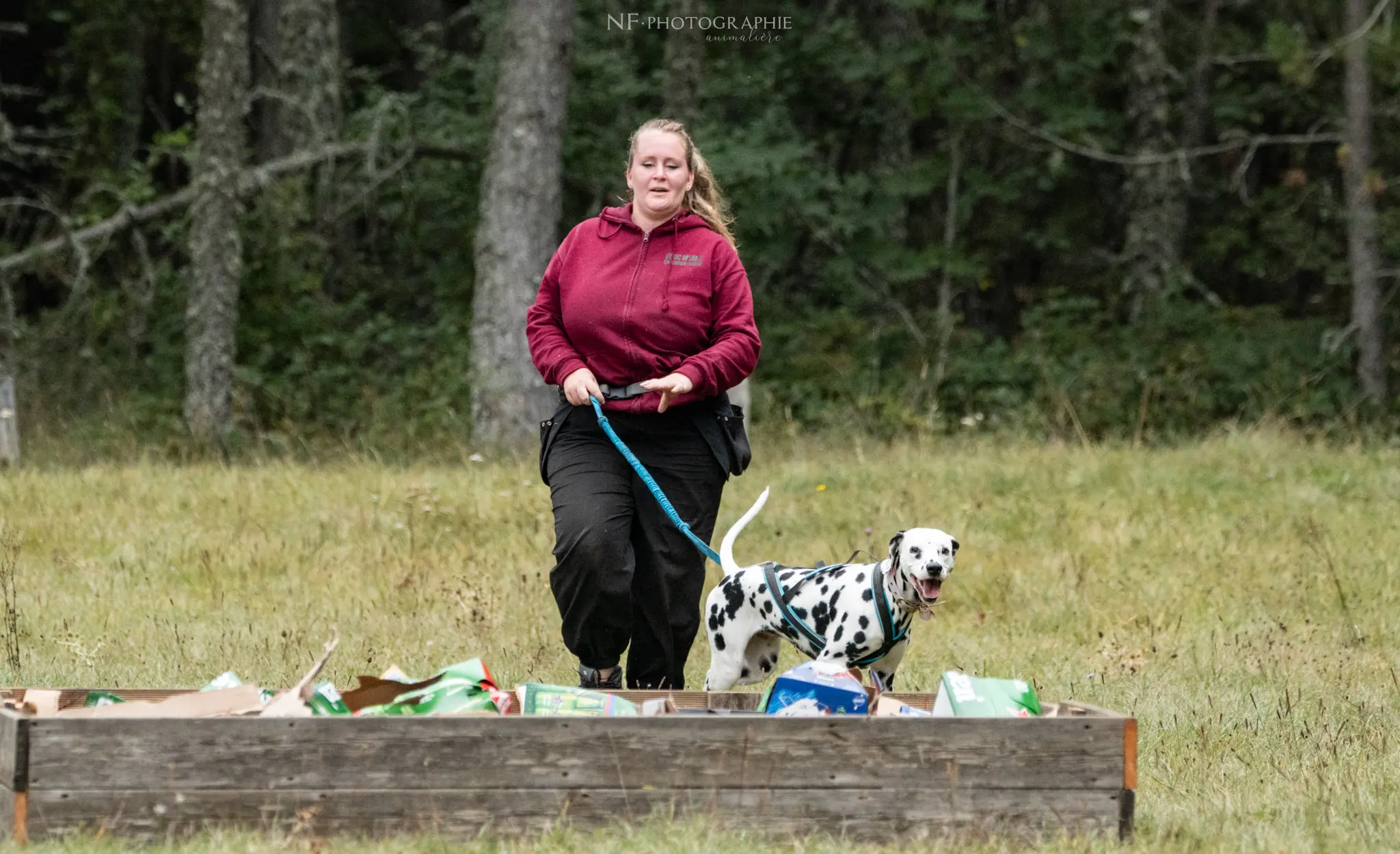 Cani-Parcours - Édition 2024 - Canifun