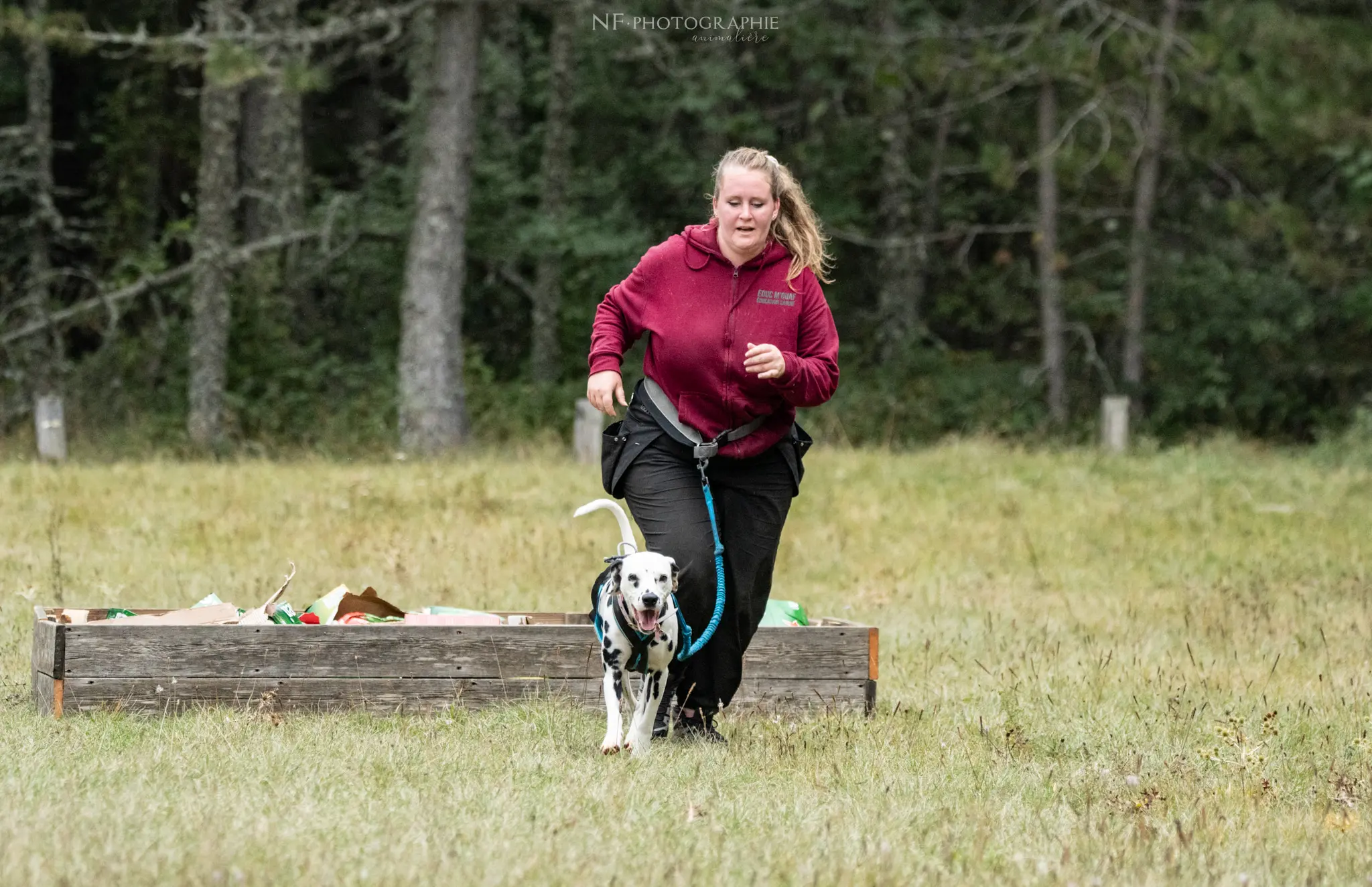 Cani-Parcours - Édition 2024 - Canifun