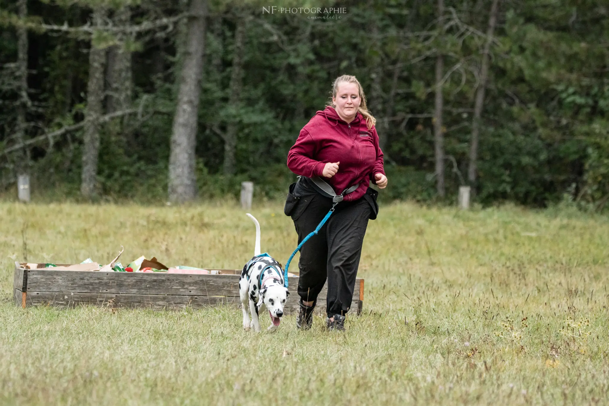 Cani-Parcours - Édition 2024 - Canifun