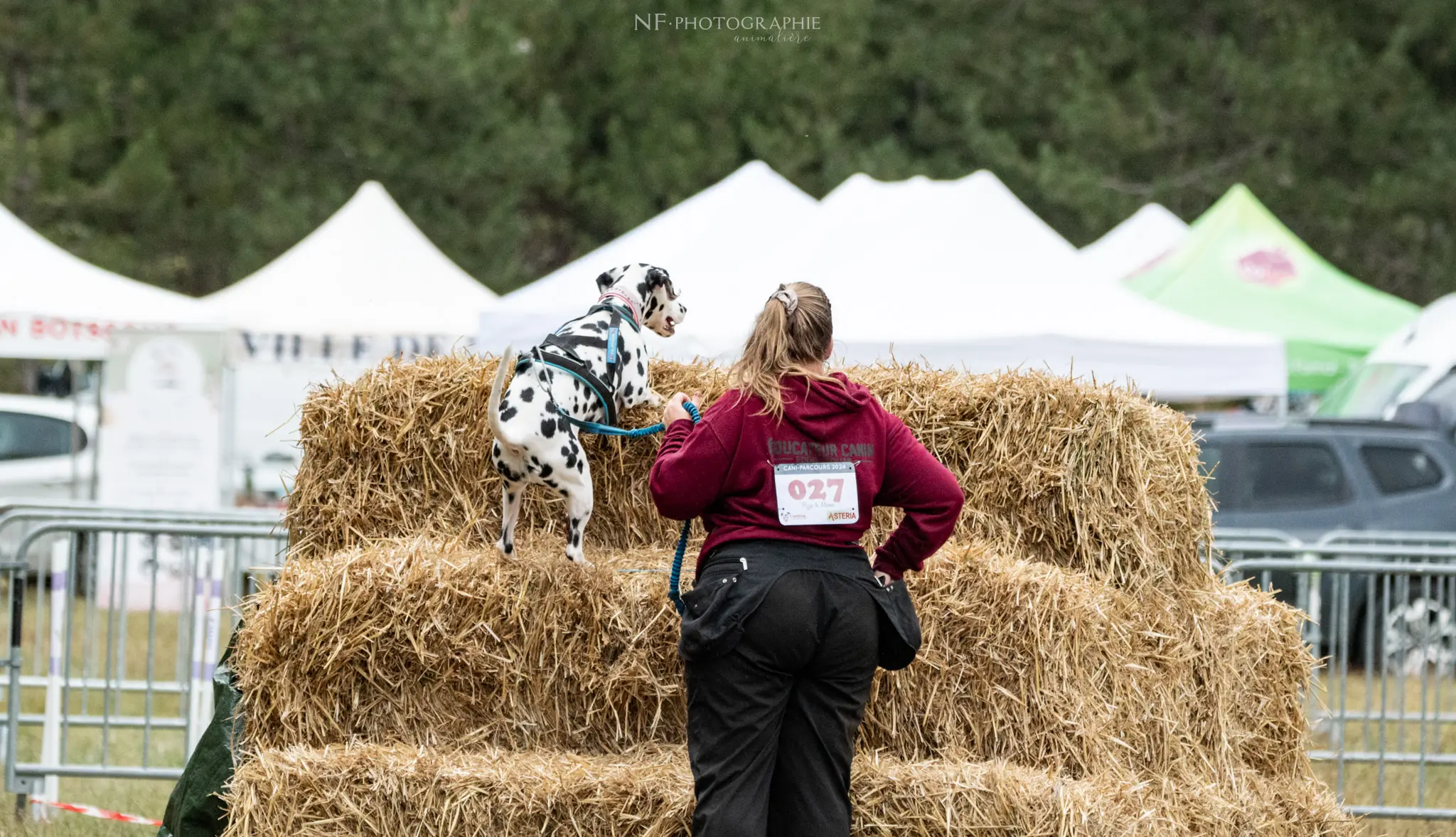 Cani-Parcours - Édition 2024 - Canifun