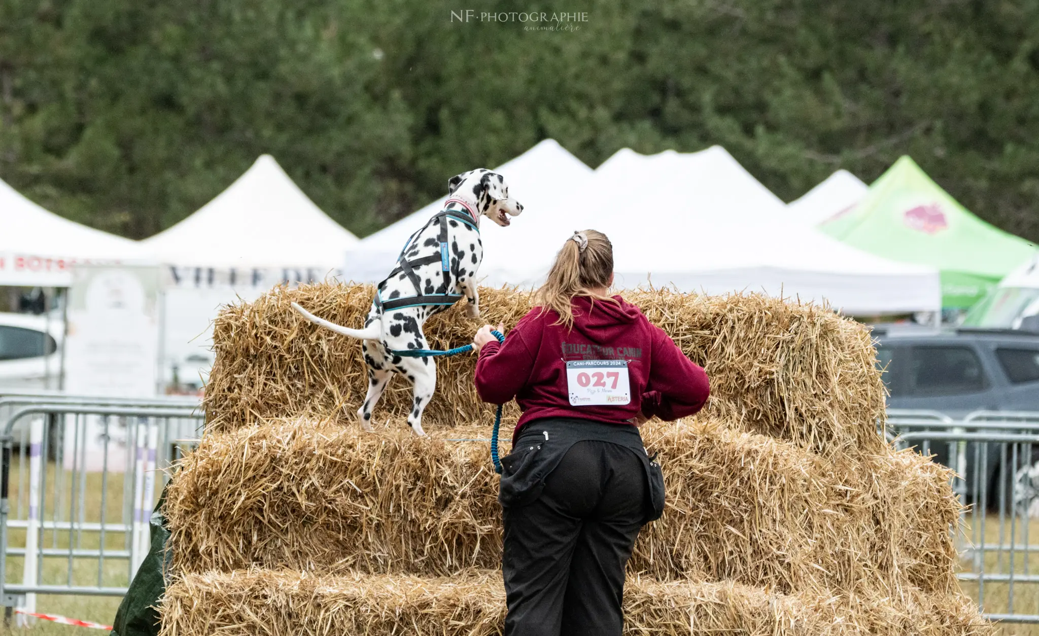 Cani-Parcours - Édition 2024 - Canifun