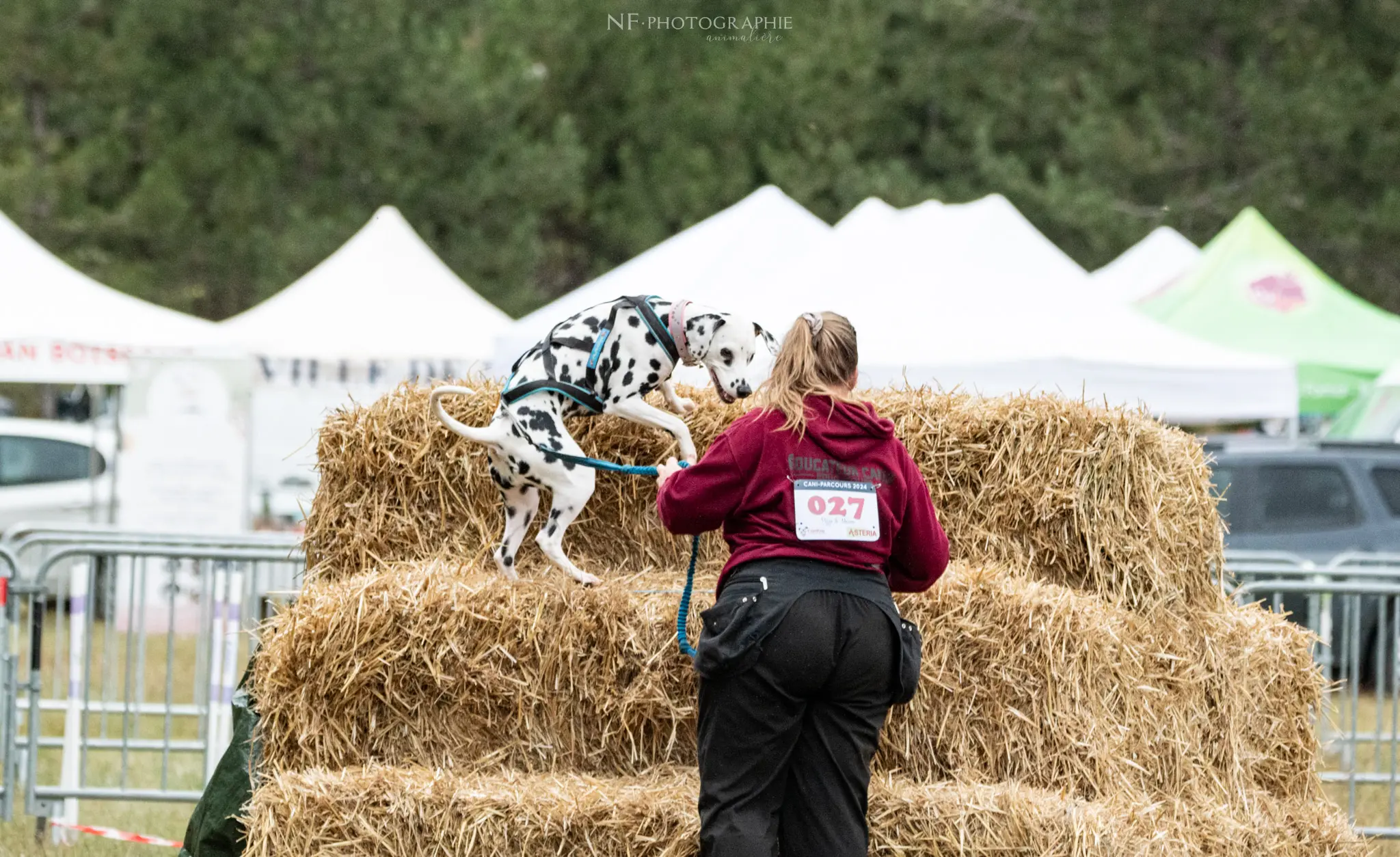 Cani-Parcours - Édition 2024 - Canifun