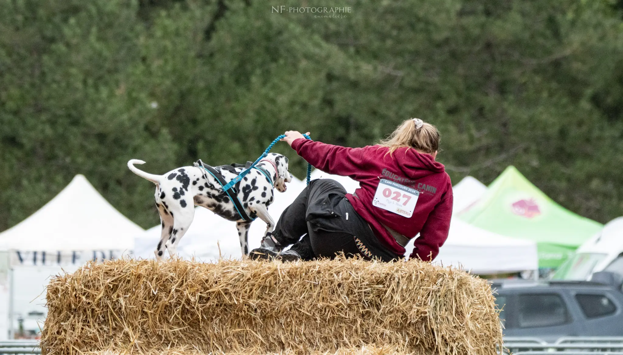 Cani-Parcours - Édition 2024 - Canifun