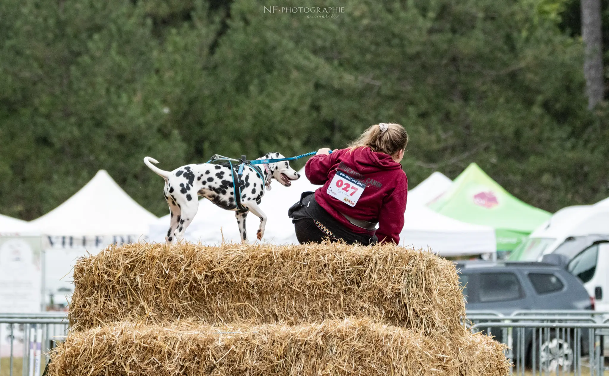 Cani-Parcours - Édition 2024 - Canifun