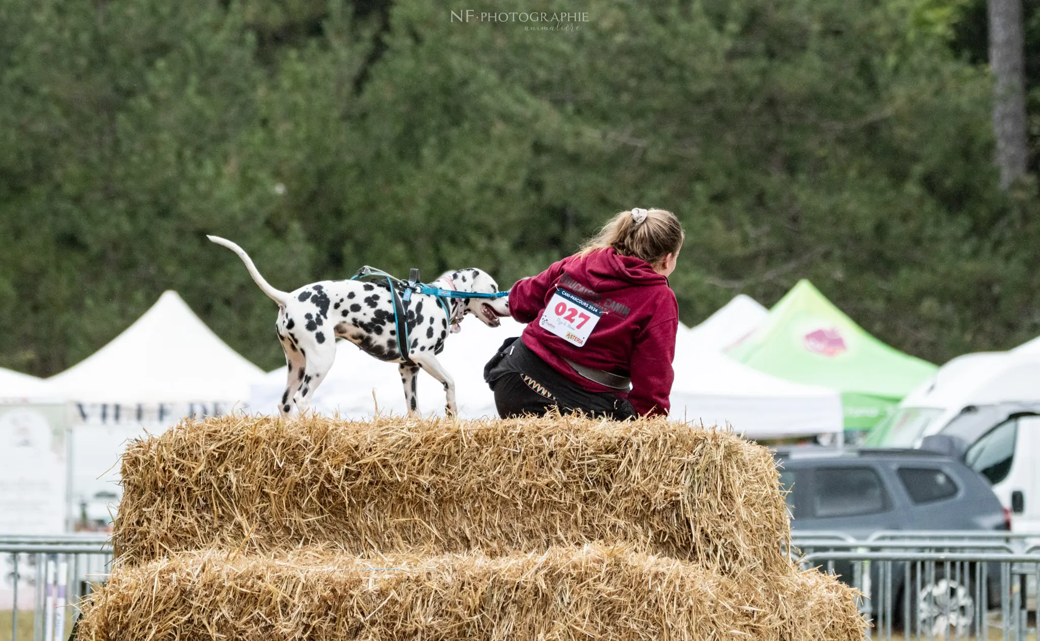 Cani-Parcours - Édition 2024 - Canifun