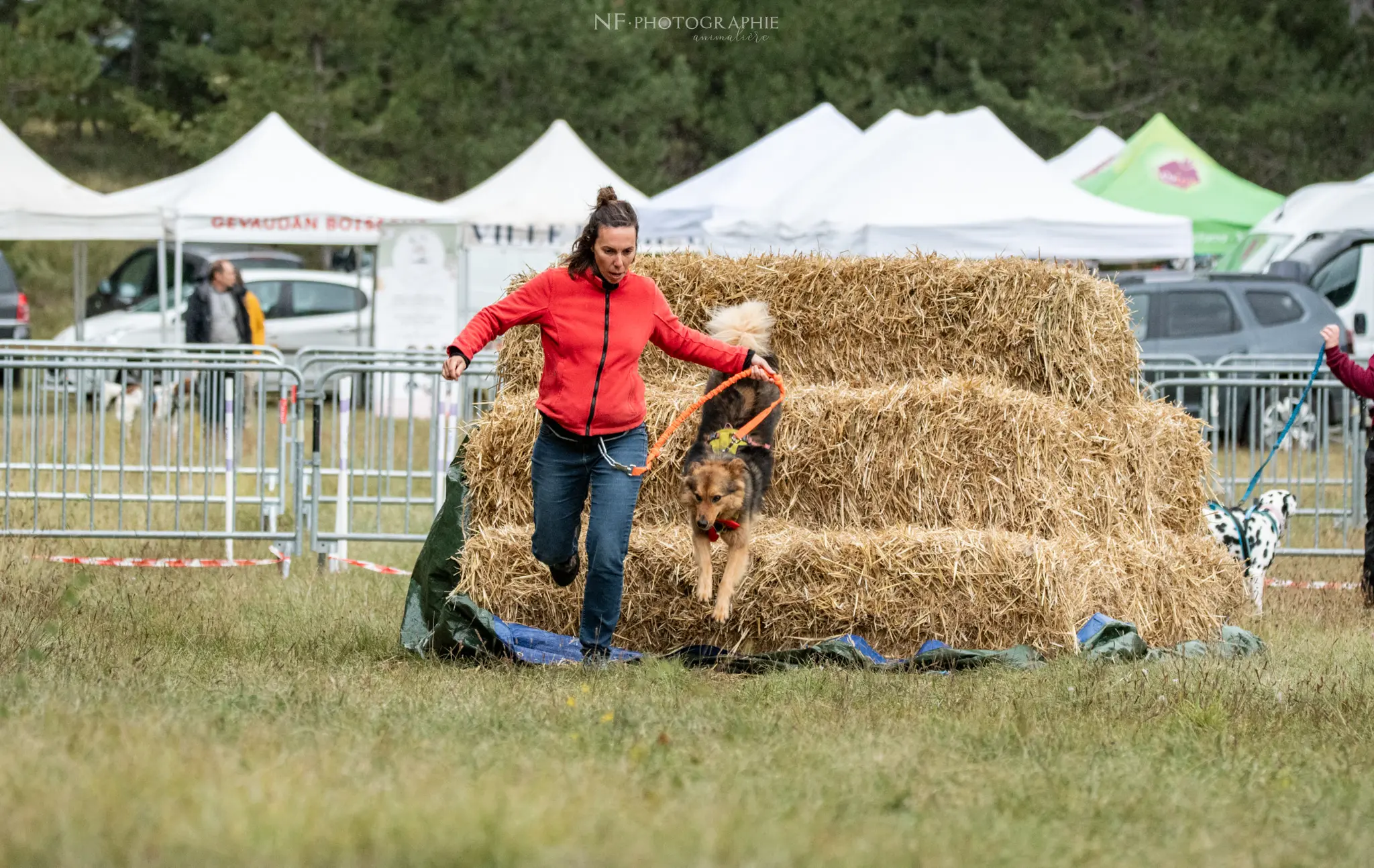 Cani-Parcours - Édition 2024 - Canifun