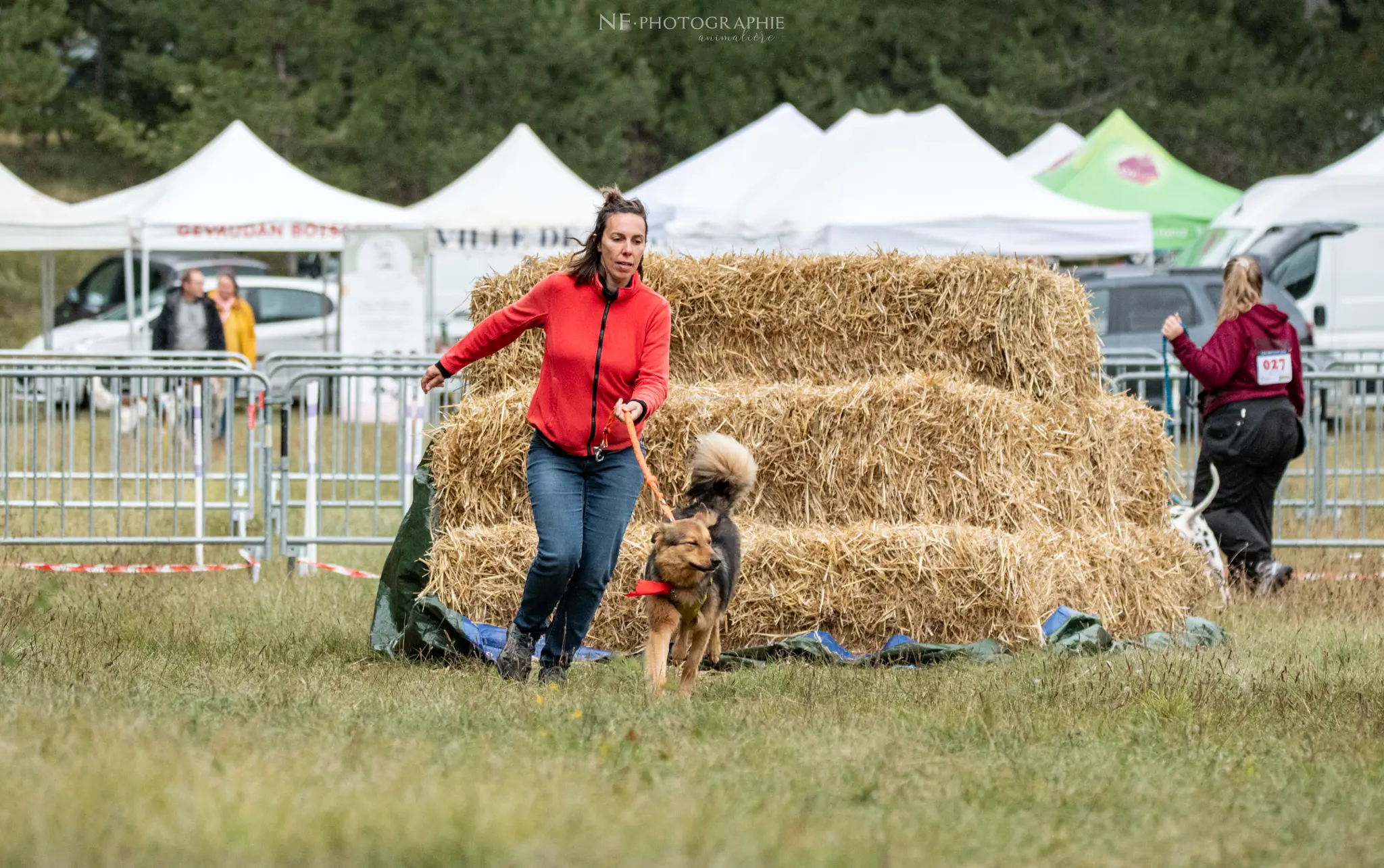 Cani-Parcours - Édition 2024 - Canifun