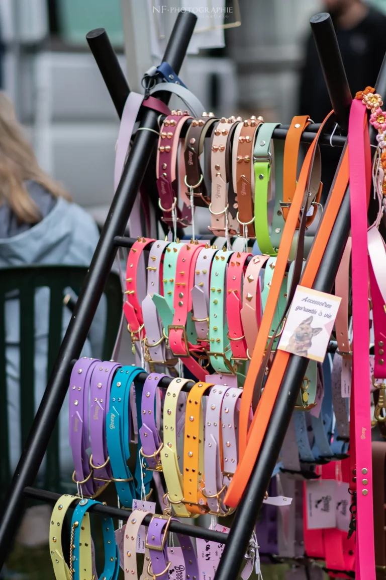 Village - Samedi - Édition 2024 - Canifun