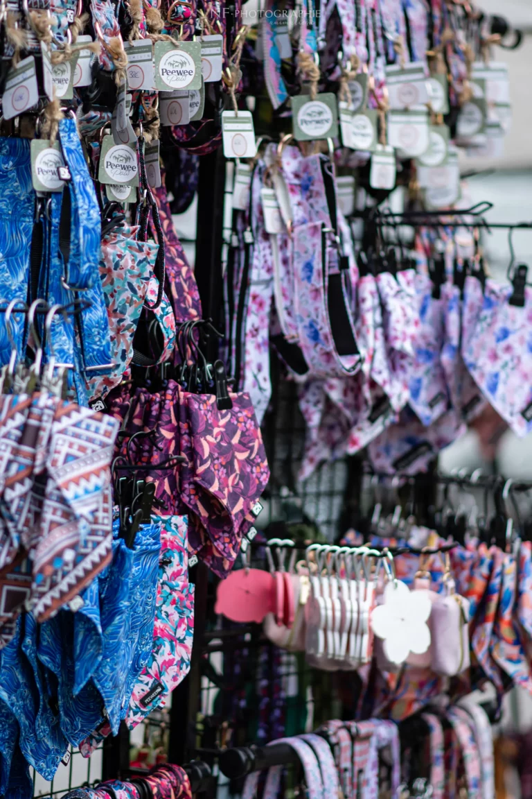 Village - Samedi - Édition 2024 - Canifun