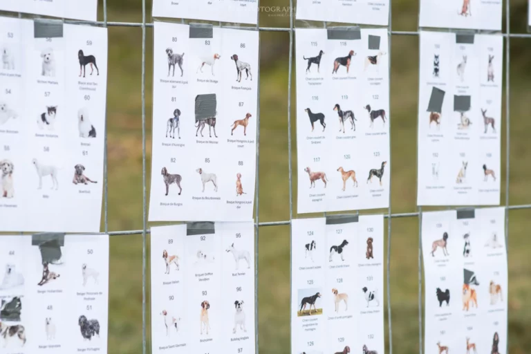 Village - Samedi - Édition 2024 - Canifun