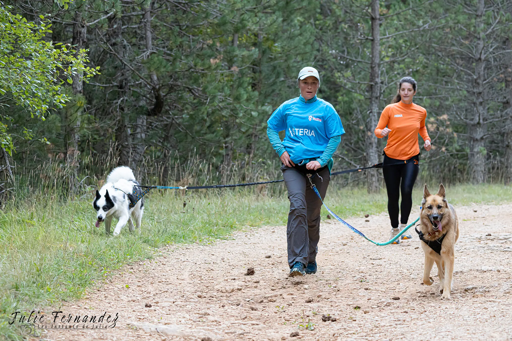 Cani-Parcours - Édition 2024 - Canifun