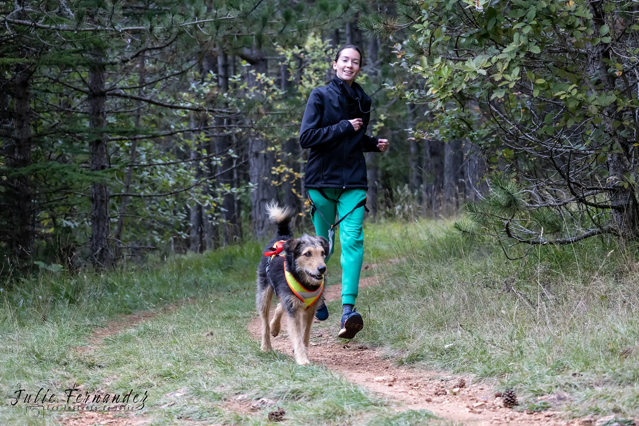 Cani-Parcours - Édition 2024 - Canifun