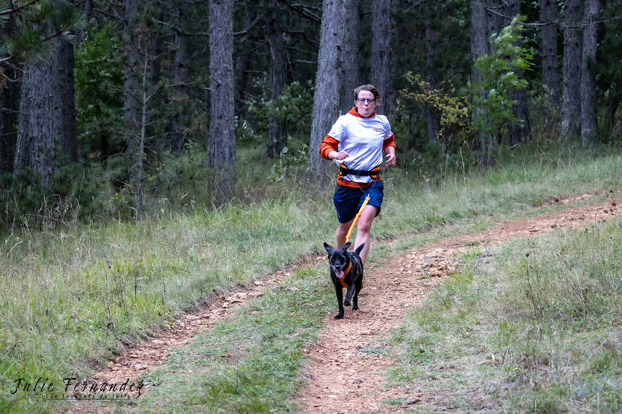 Cani-Parcours - Édition 2024 - Canifun