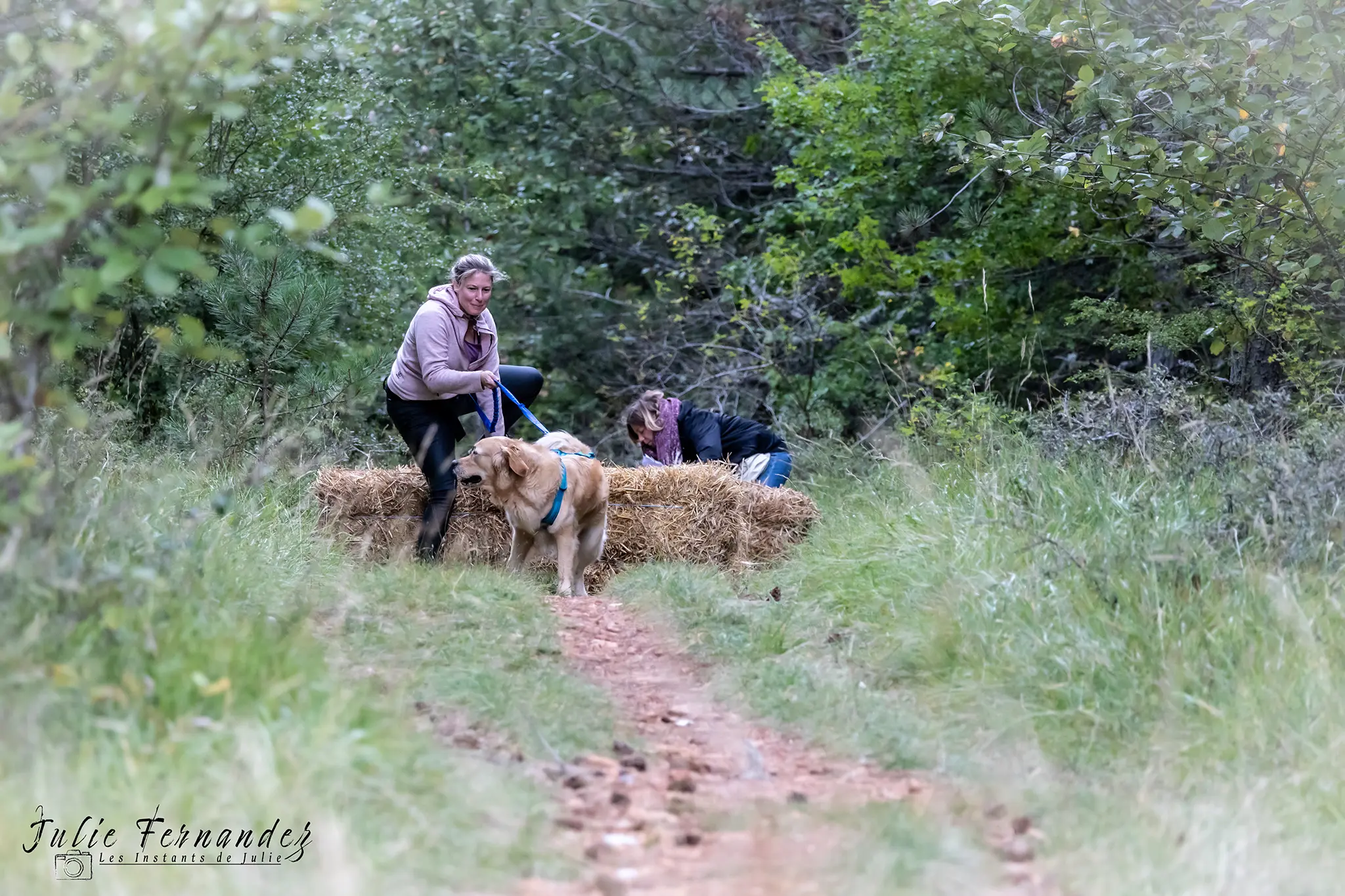 Cani-Parcours - Édition 2024 - Canifun