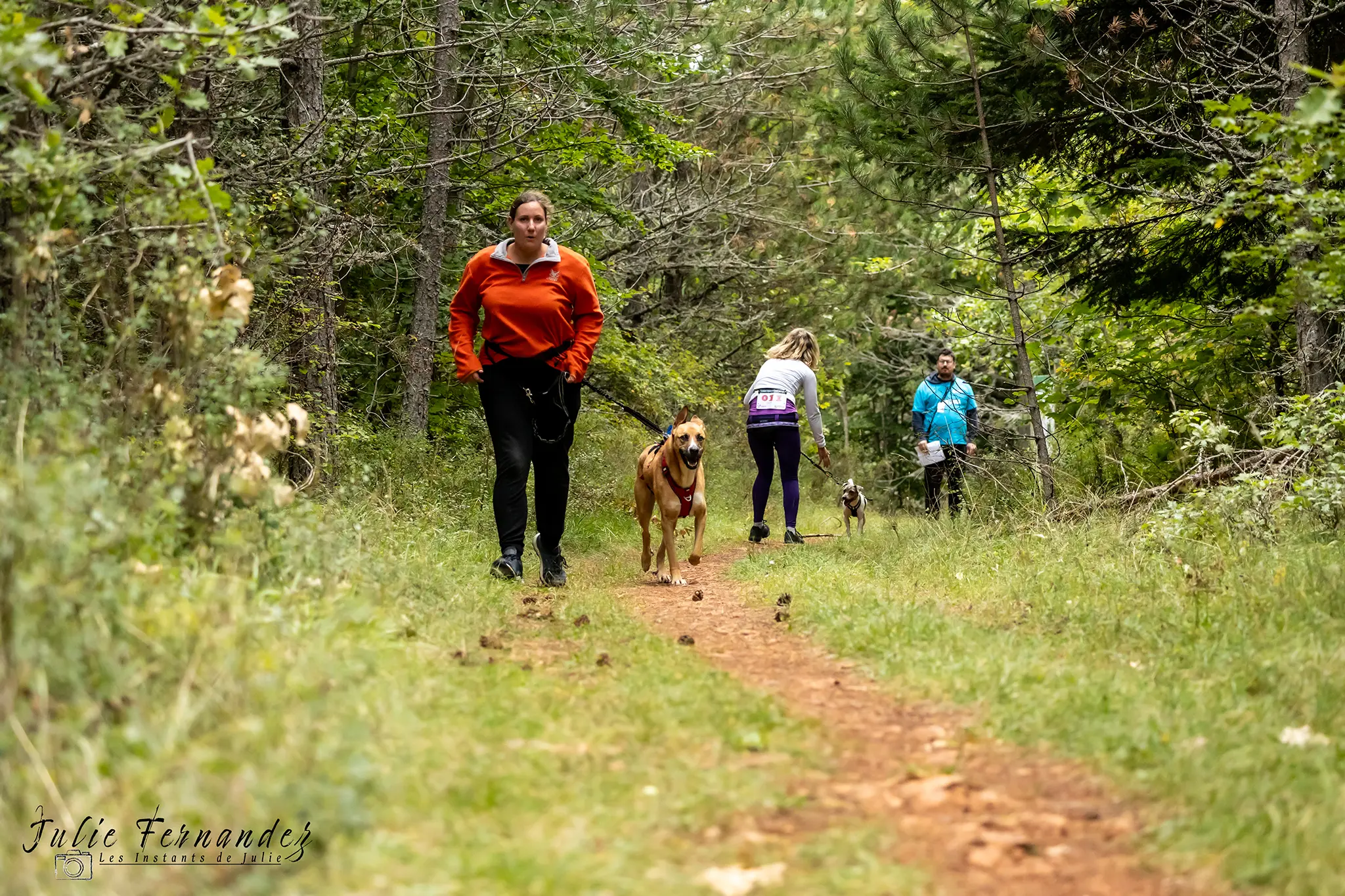 Cani-Parcours - Édition 2024 - Canifun